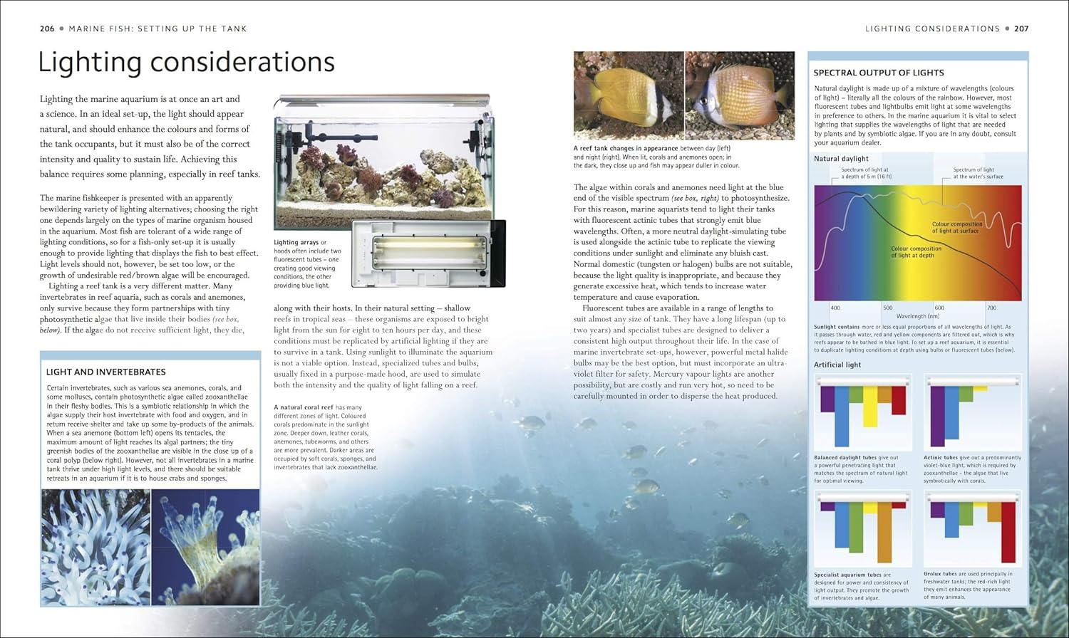 Encyclopedia of Aquarium and Pond Fish image number 3