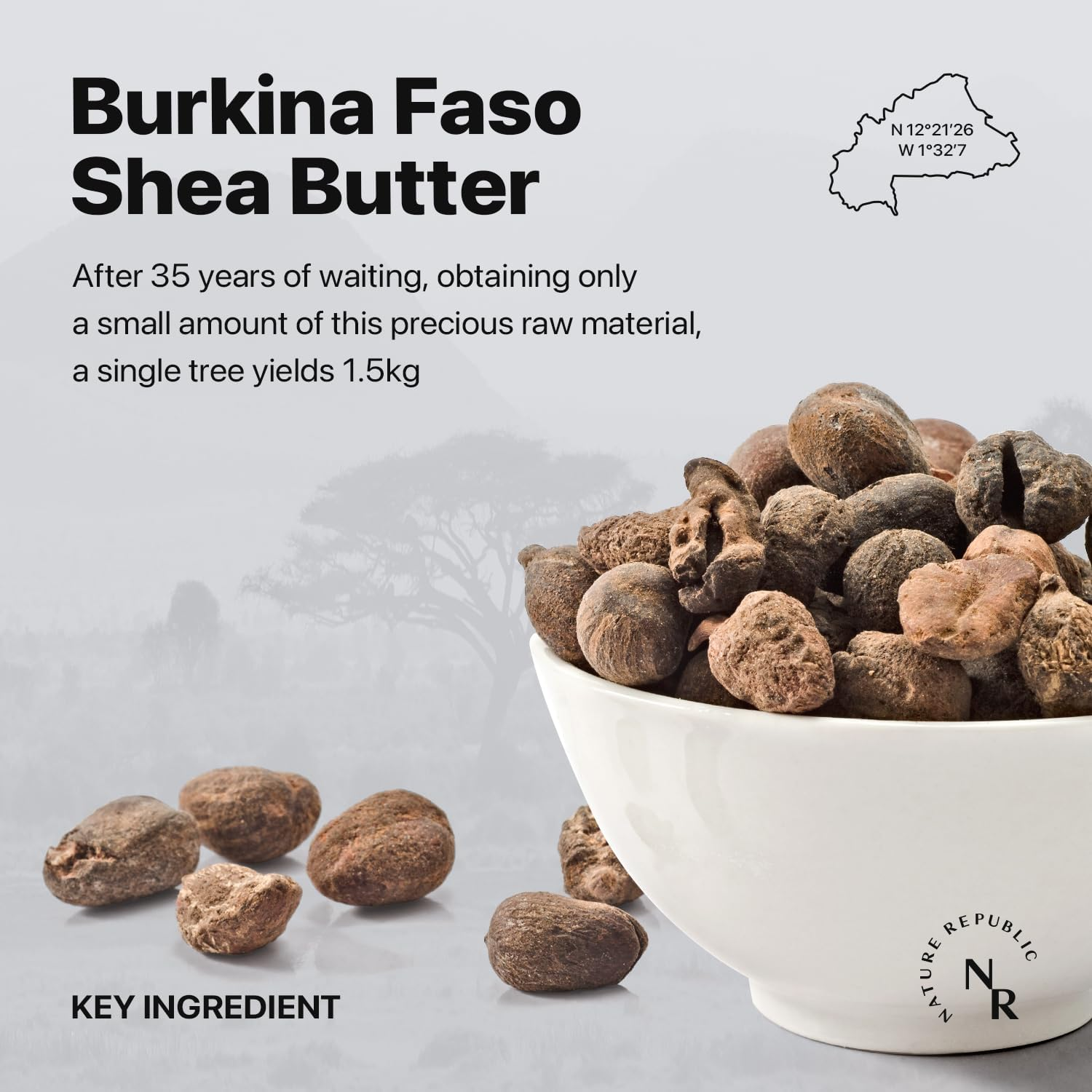 Nature Republic Shea Butter Steam Cream Fresh, 100Ml image number 3