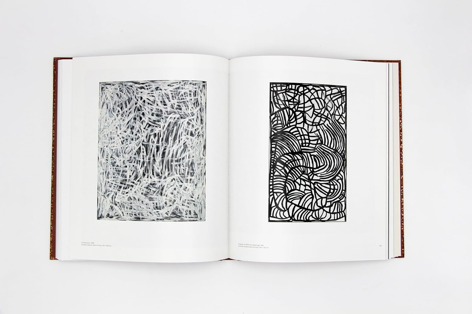 Emily Kam Kngwarray image number 1