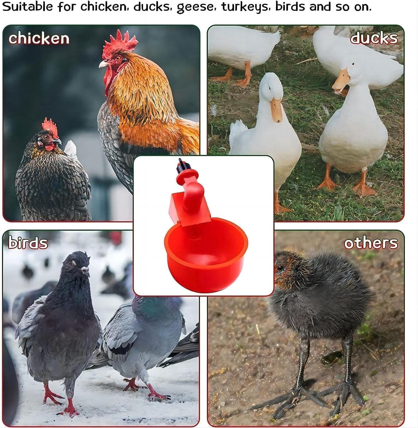 [12 Pack] Chicken Water Cups with PVC Tee, Automatic Waterer Kit for Poultry, DIY Water Feeder for Chicken Duck Quail Turkey, Chicken Water Nipples,Red image number 5