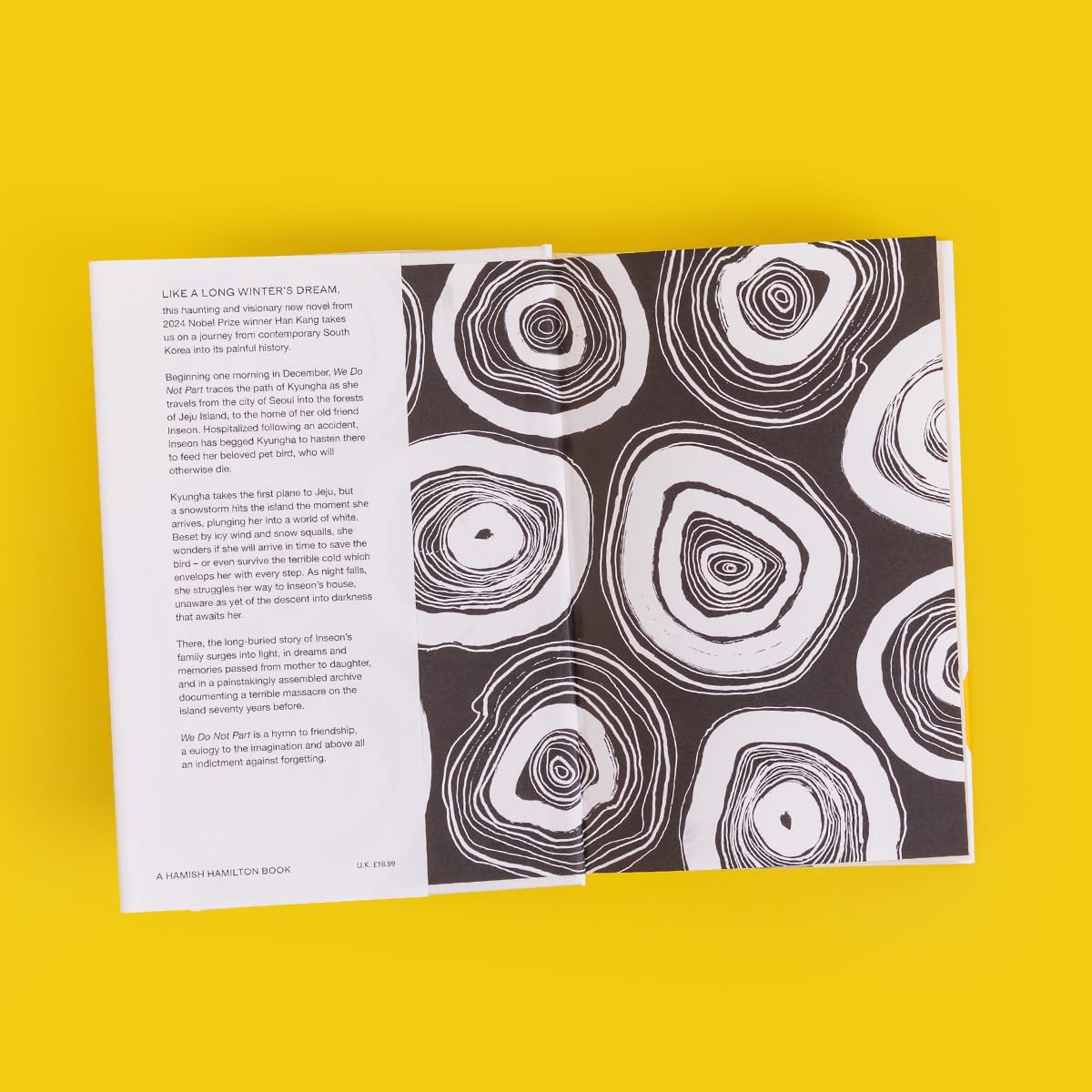 We Do Not Part: Winner of the 2024 Nobel Prize in Literature image number 4