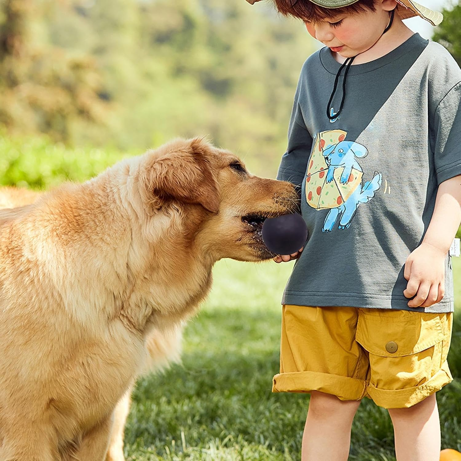 Squash Balls - 4X Small Rubber Squash Ball | Training Squash Ball | Rubber Hollow Balls | Dog Balls | Outdoor Sports Rubber Hollow Ball | High Elasticity Competition Squash Ball | Squash Ball Beginner - Black image number 5