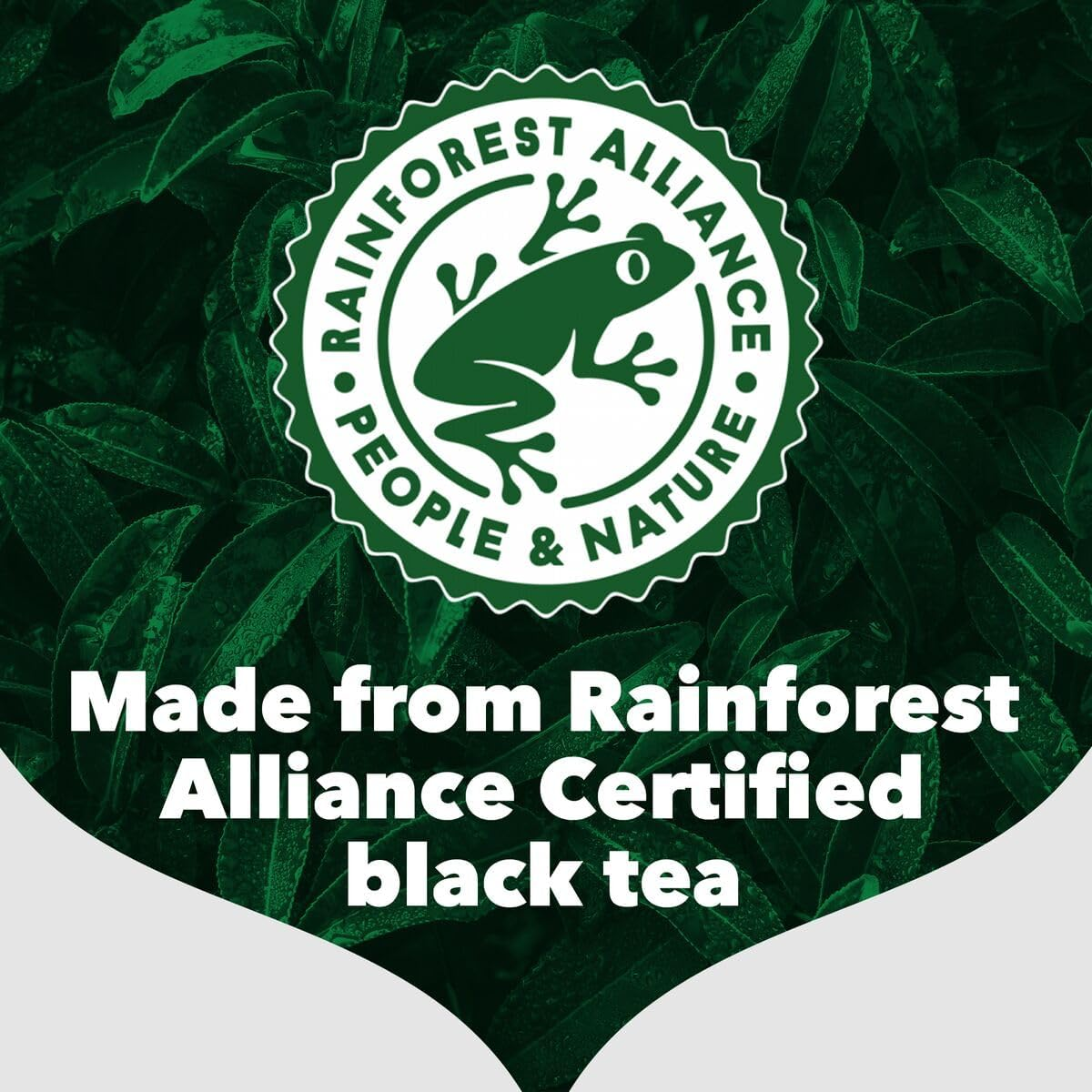 PG Tips 40 Teabags, 116G image number 1