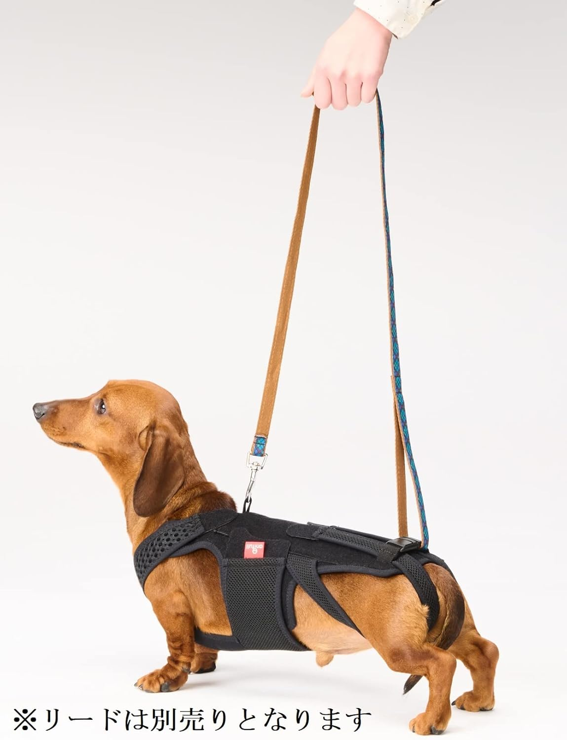 Aniful Dog Coll with M [Dog Corset] Black image number 5