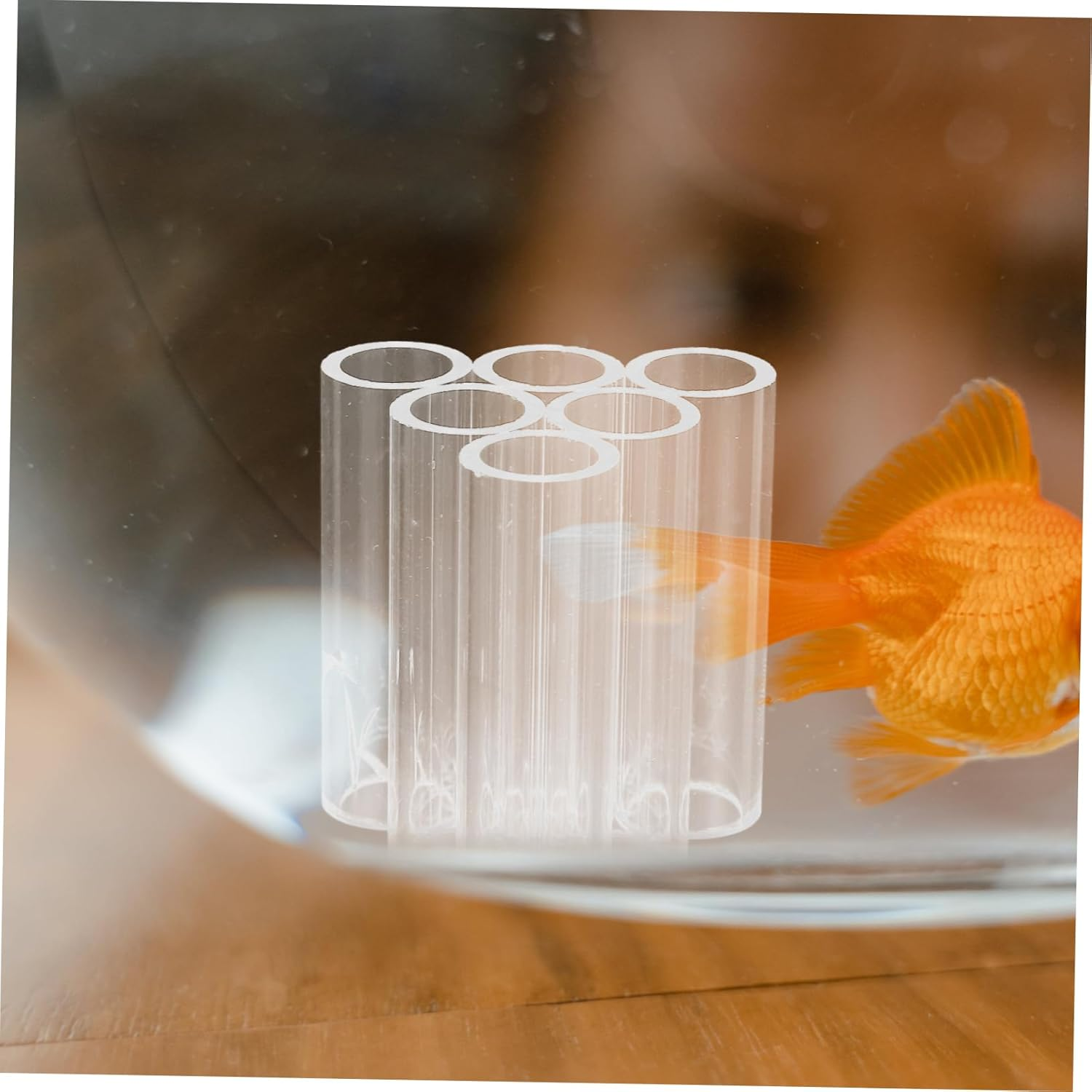VANZACK 6Holes Fish Shrimp Feeder Breeding Tube Transparent Acrylic Shelter for Aquatic Pets for Shrimp Habitat and Tank Decor Easy to Clean and Maintain image number 3