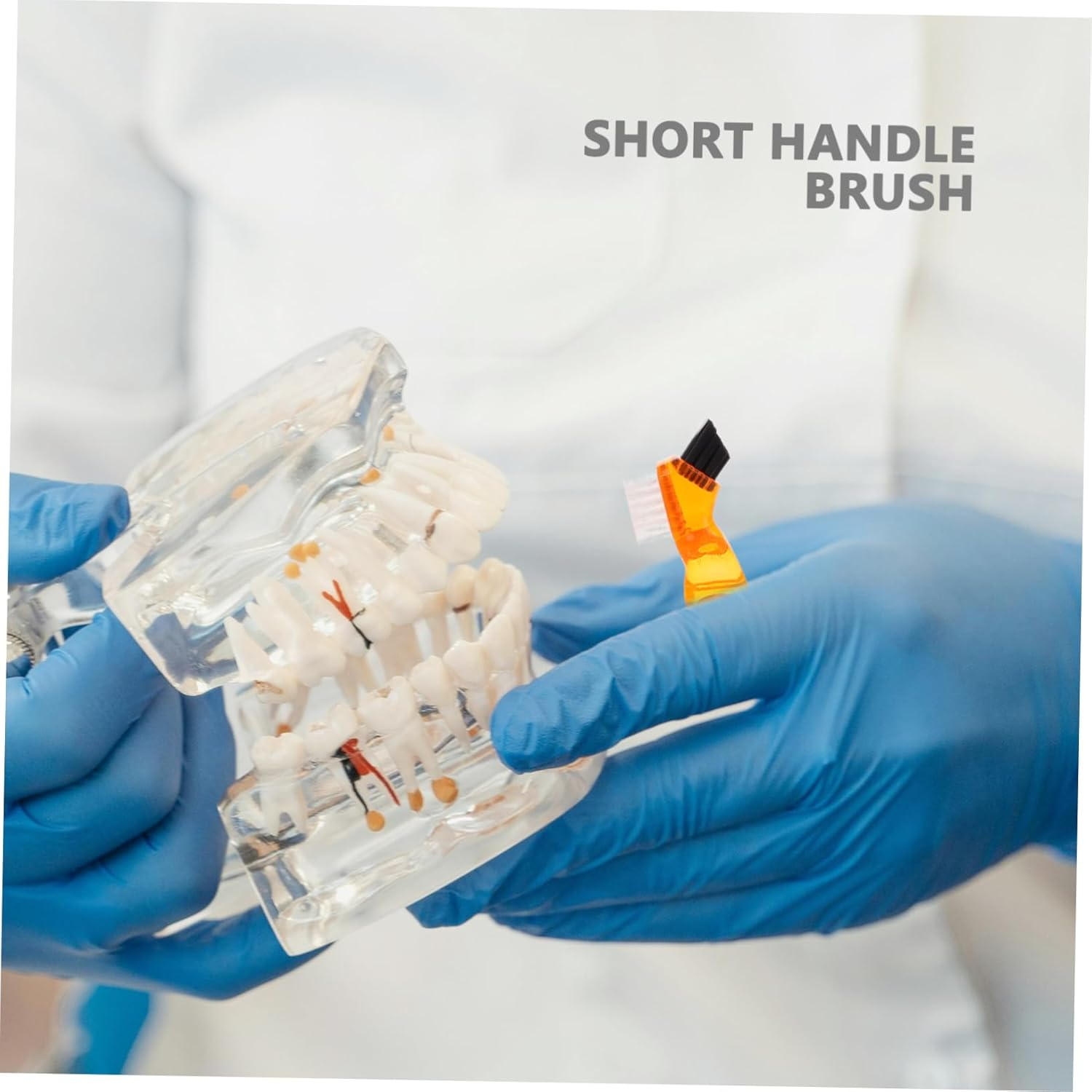 SAFIGLE 4Pcs Denture Brush and Dental Retainer Cleaner Set with Hard Bristles, Short Handle False Teeth Cleaning Toothbrush for Oral Care and Dental Hygiene in Blue Green Red Orange image number 1