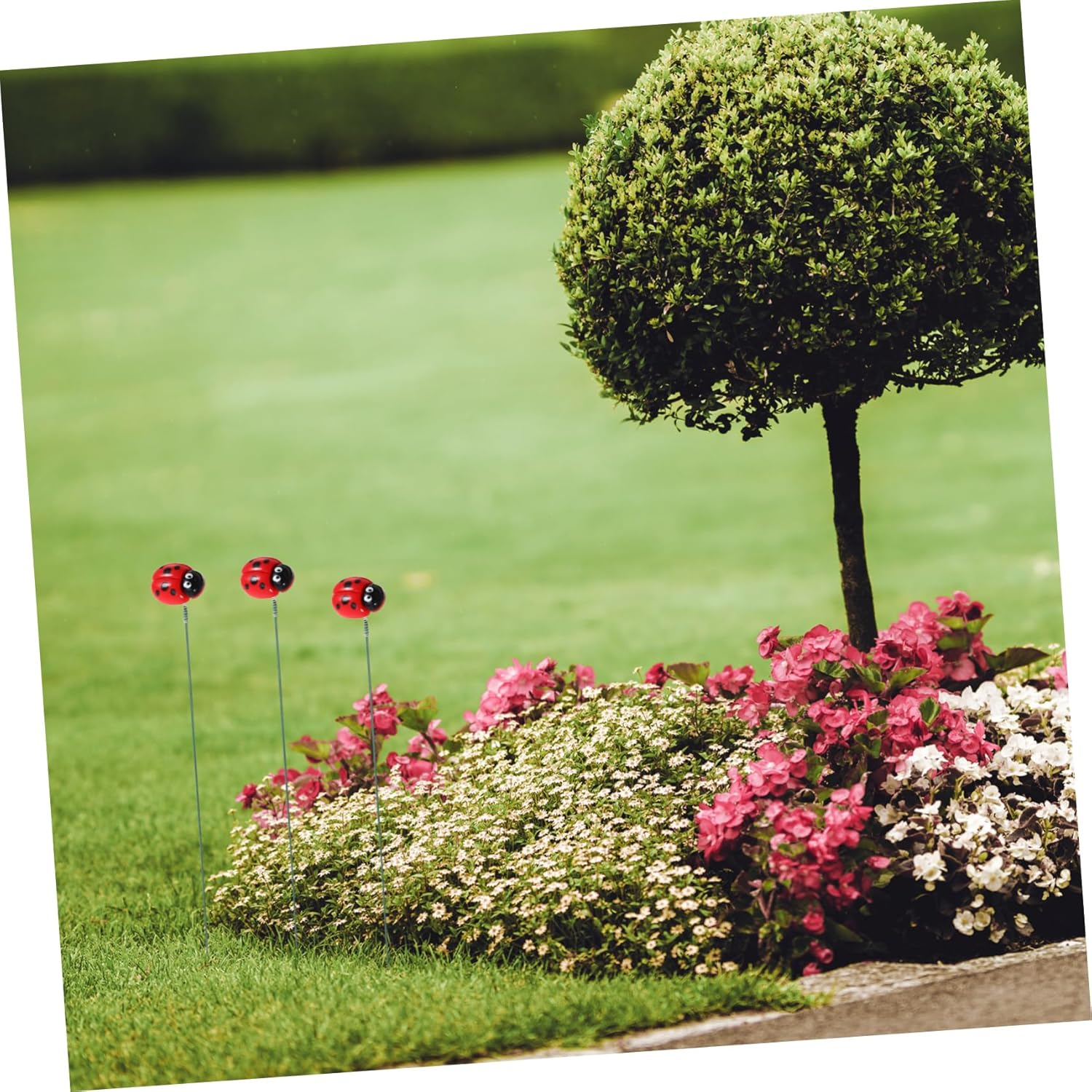 Kisangel 30Pcs Garden Ladybug Sign Resin Outdoor Spring Decor Ladybug Stake for Spring Outdoor Garden Decorations Art image number 4