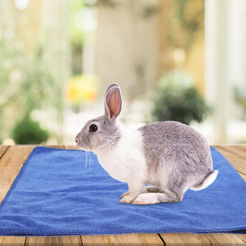 Homoyoyo 5-Pack Washable Small Animal Blanket for Guinea Pigs and Hamsters - Soft Microfiber Pet Bedding Waterproof Cage Liner Comfortable Sleeping Pad for Cage Use image number 1
