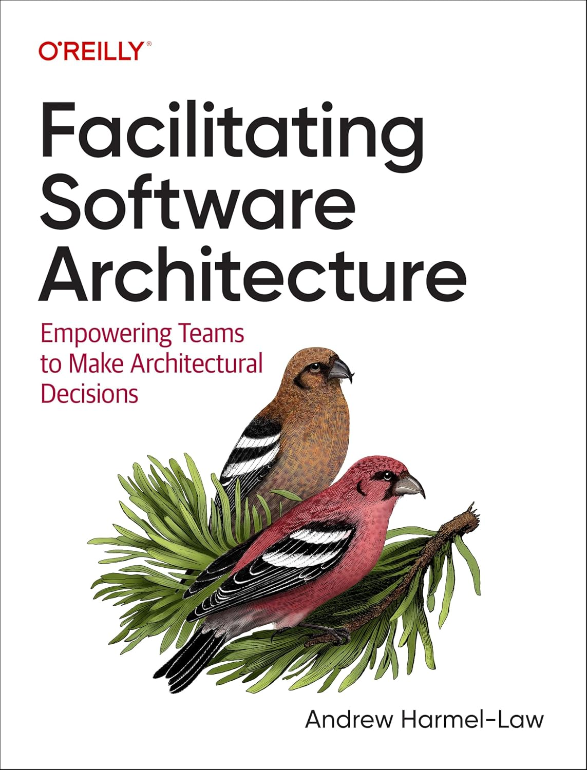 Facilitating Software Architecture: Empowering Teams to Make Architectural Decisions image number 2