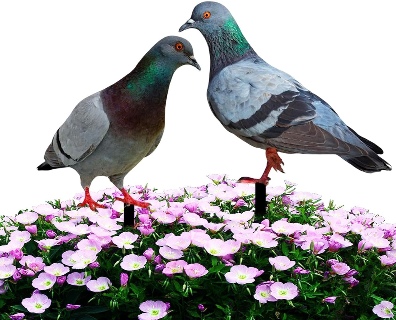 Pigeon Decoys,2X Realistic 2D Acrylic Pigeon Model - Bird Stake Ground Plug, Decorative Yard Art Bird Figurine for Courtyard, Lawn, Patio, Outdoor image number 2