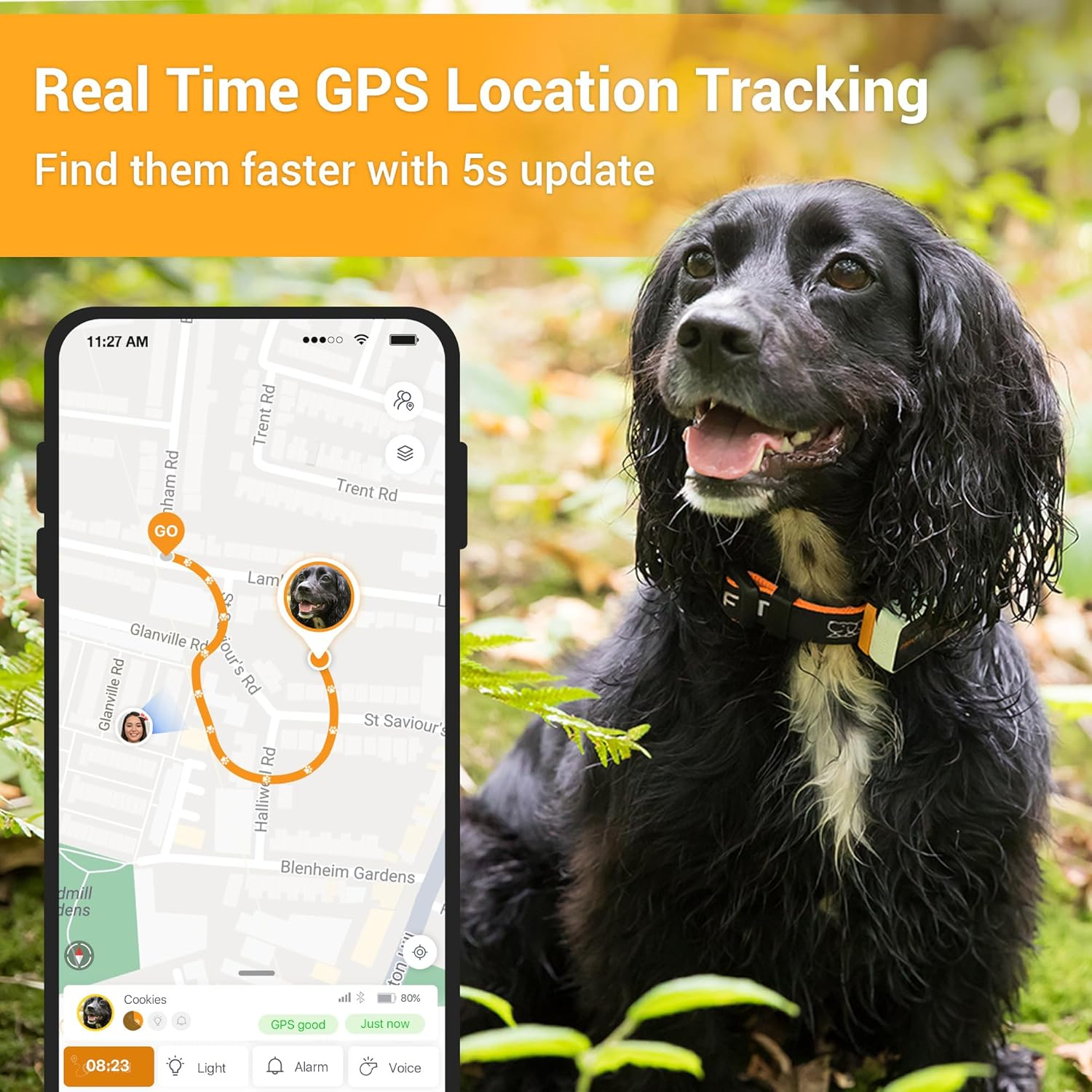 Pawfit 3 GPS Pet Tracker GPS Dog Tracker 4G Live Satellite Tracking, Multiple Smart Alerts, Fully Waterproof Activity Monitor for Dogs, Unlimited Range, Remote Voice Recall, Fits All Collars