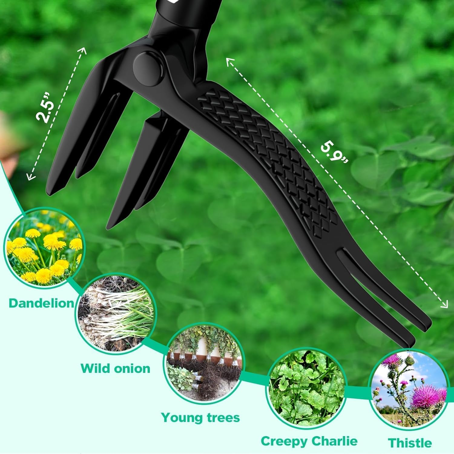 Weed Puller with 155Cm Long Handle - Adjustable Stand up Weed Puller Tool for Lawn Garden Farmland image number 1
