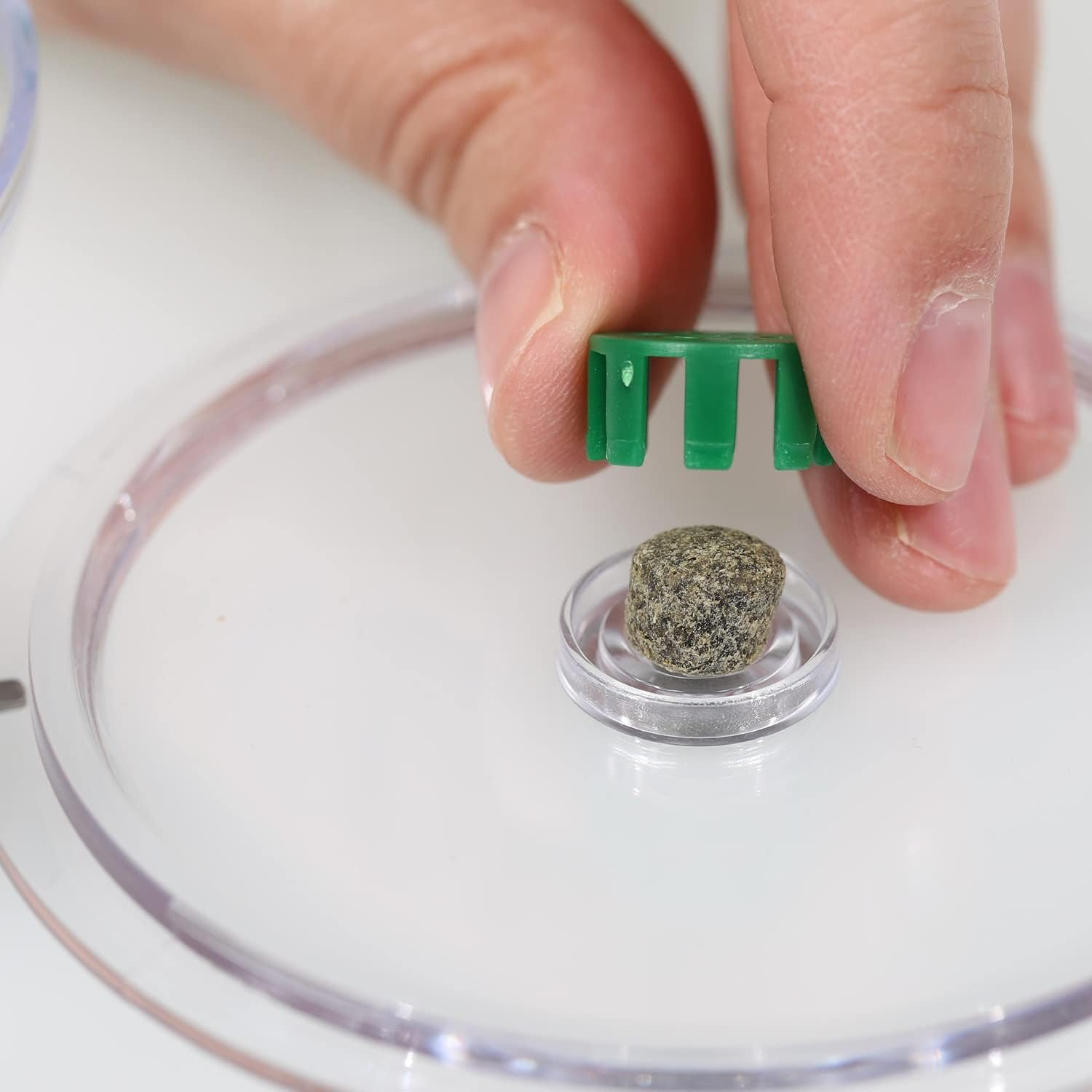 JBL Limcollect Aquarium Snail Trap