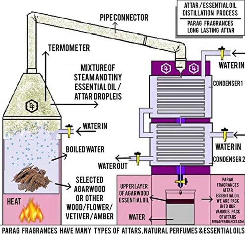 Parag Fragrances (W Series Attar) Oudh Mukhallat Bhapka Processed Attar for Men 6Ml / 0% Alcohol/Best Attar for Winter (Long Lasting and Chemical Free Natural Agarwood Attar) image number 1