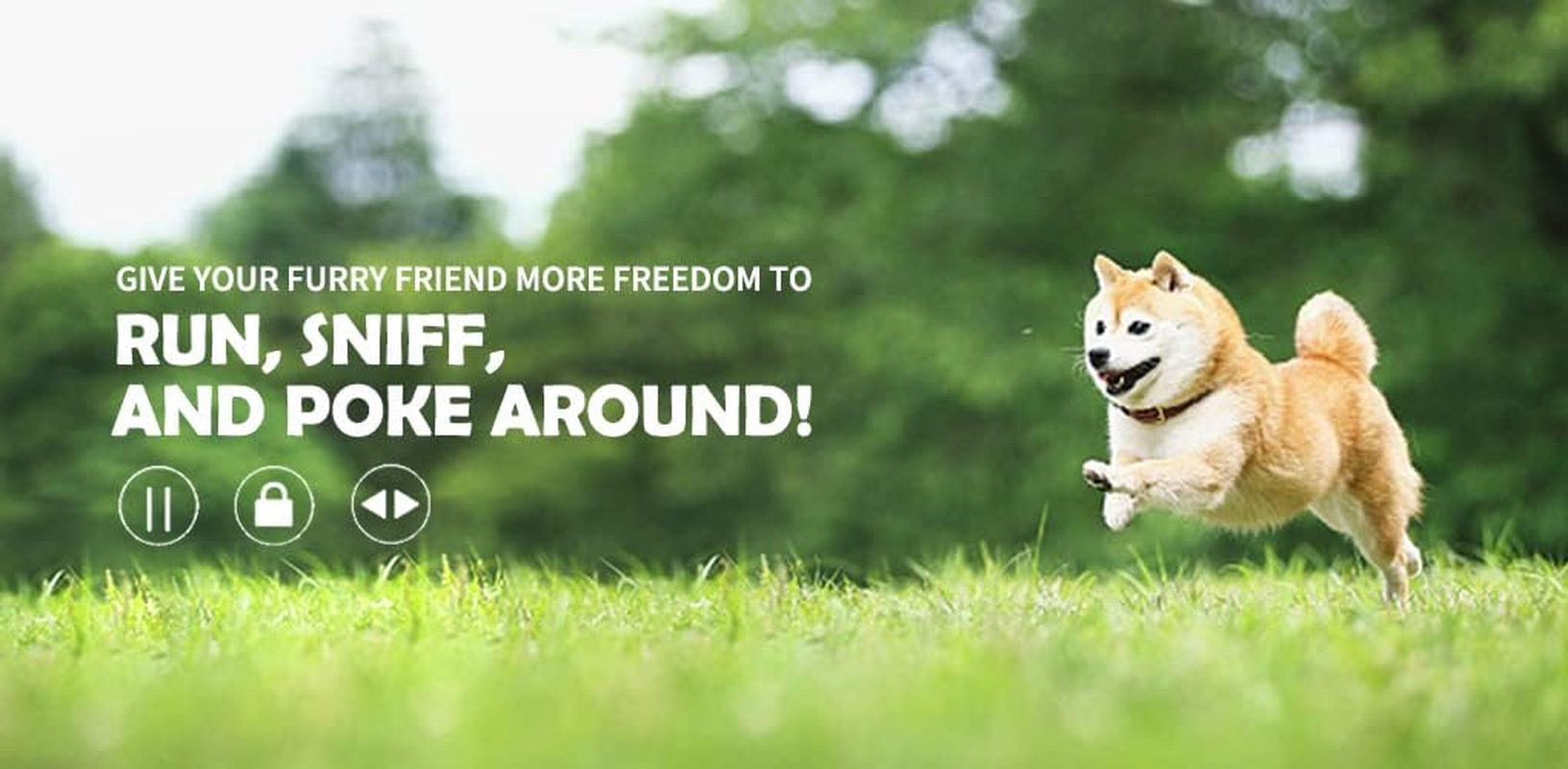 Retractable Dog Leash Lead with Dispenser and Poop Bags, Pet Walking Leash for Large Dog or Cat, Anti-Slip Soft Handle, Tangle Free, Reflective Nylon Tape(Black, 5 Meters, Max Load 50KG) image number 3