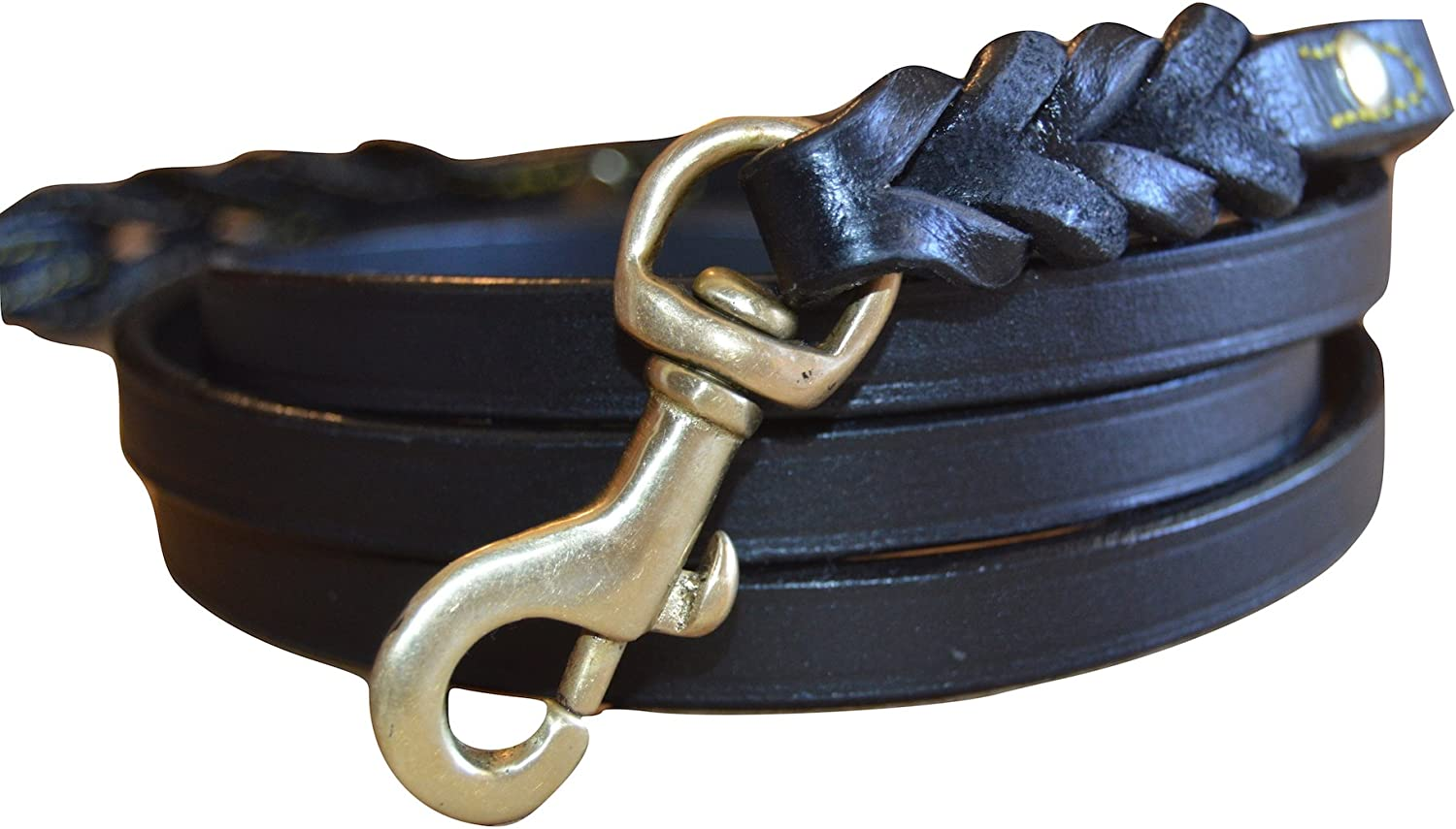 Soft Touch Collars Leather Braided Dog Leash, Tan with Teal Padded Handle, 6Ft Long X 3/4" Inch Wide