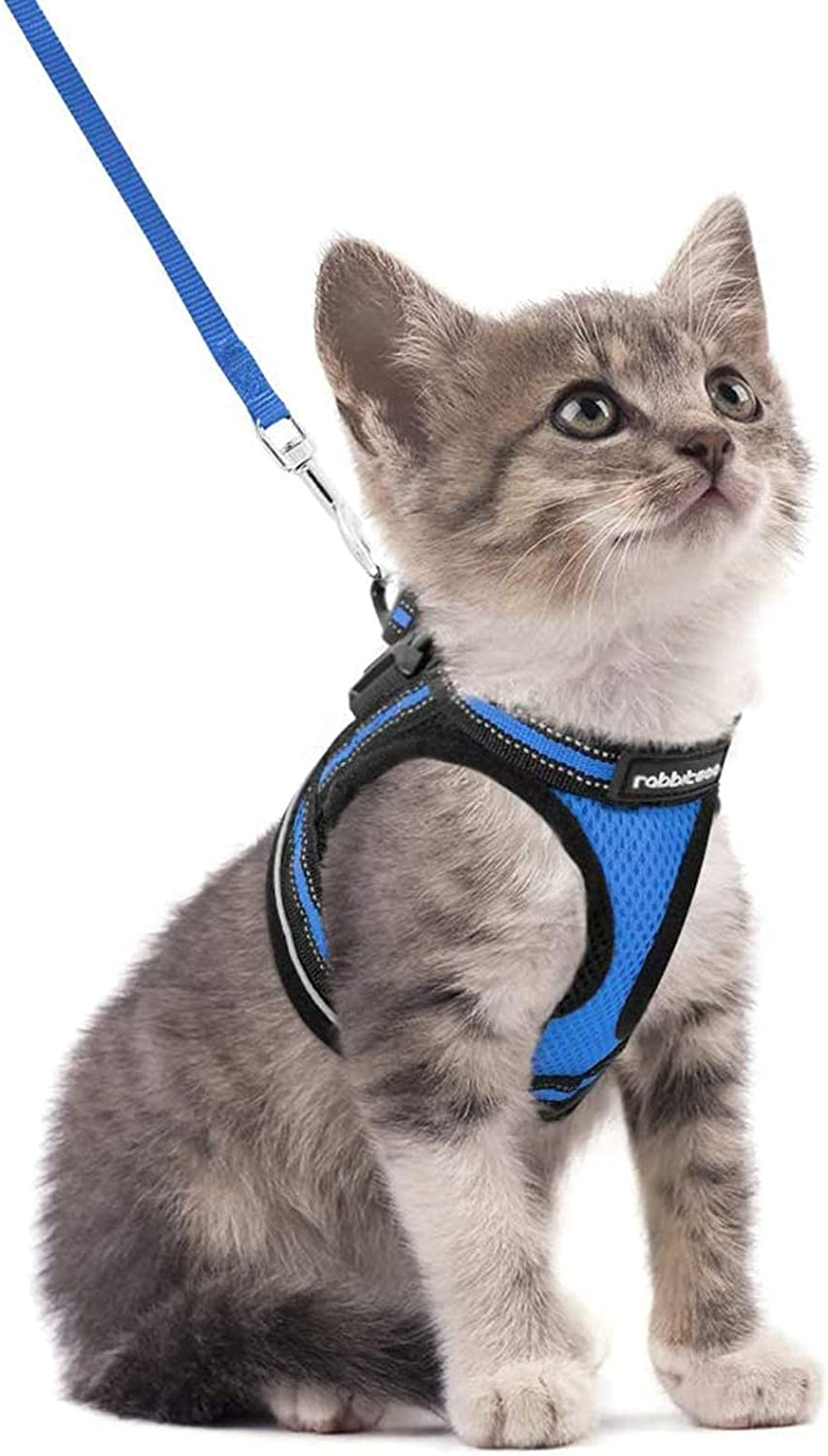 Rabbitgoo Cat Harness and Leash Set for Walking Escape Proof, Adjustable Soft Kitten Vest Harness with Reflective Strip for Cats, Step-In Comfortable Mesh Paded Outdoor Pet Harness, Black, M