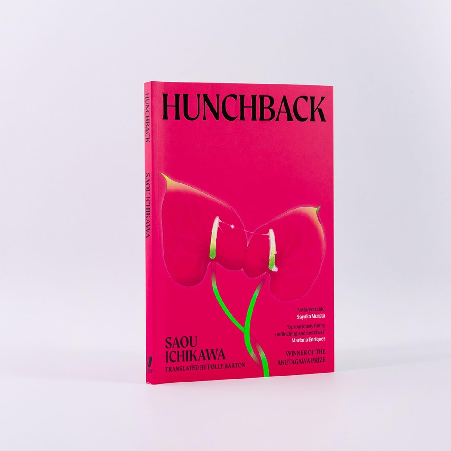 Hunchback: Longlisted for the International Booker Prize 2025 image number 1