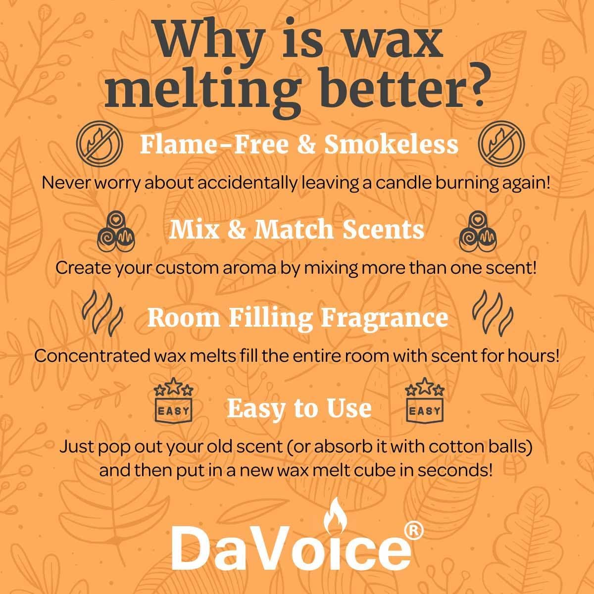 Fall Wax Melts Wax Cubes 5 Pack - Orange Cranberry Blueberry Apple Wax Melts Fall Scents, Soy Blend Fall Scented Wax Melts, Cookie Food Wax Melts (30 Cubes, 11 Oz, Thanksgiving Wax Melts Variety Pack) image number 6