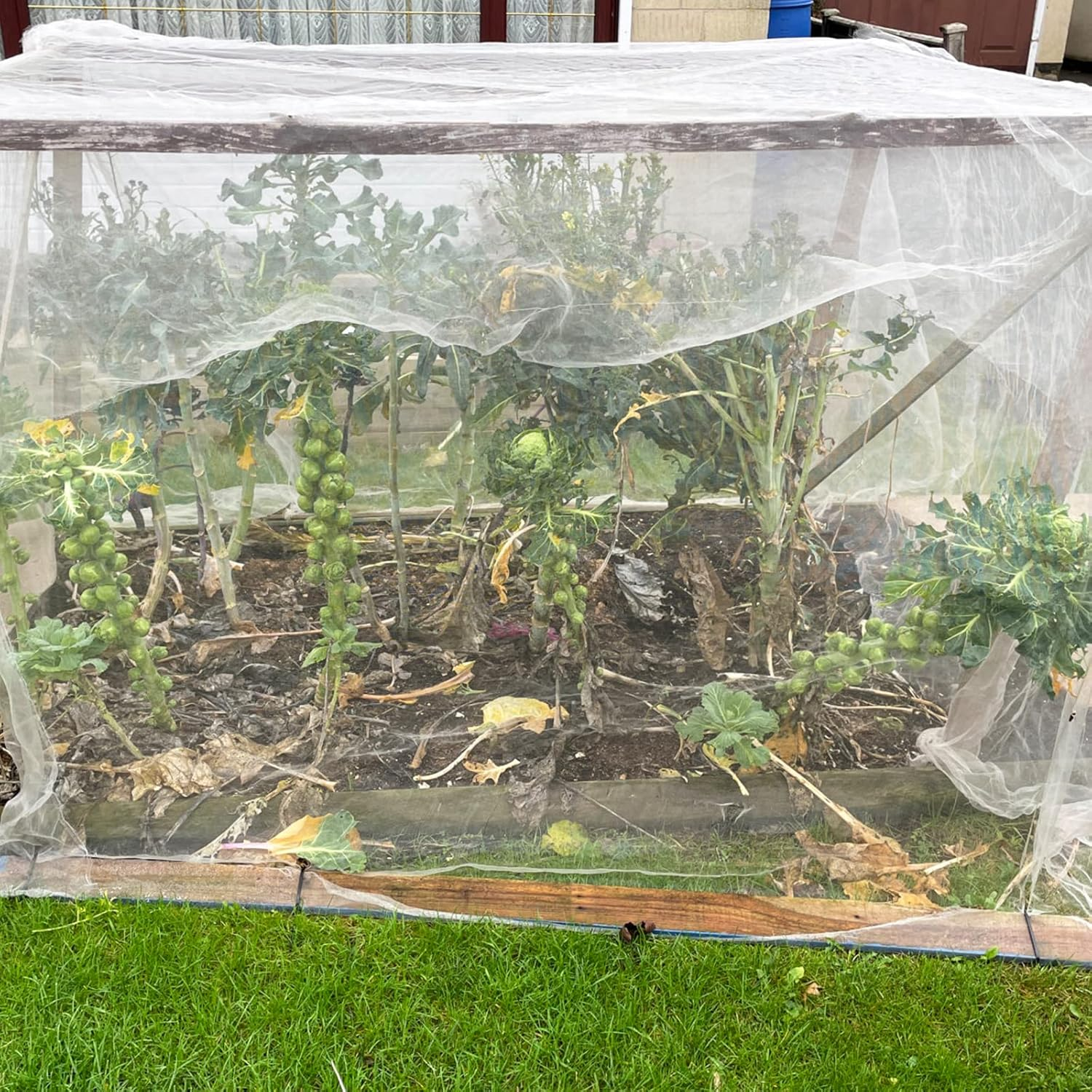 Insect Netting Mesh Garden Netting Fine Mesh Butterfly Garden Netting for Vegetables Plants Fruits Flowers Crops Greenhouse Row Covers Raised Bed Barrier Screen Birds Protection Netting (2 X 3M) image number 3