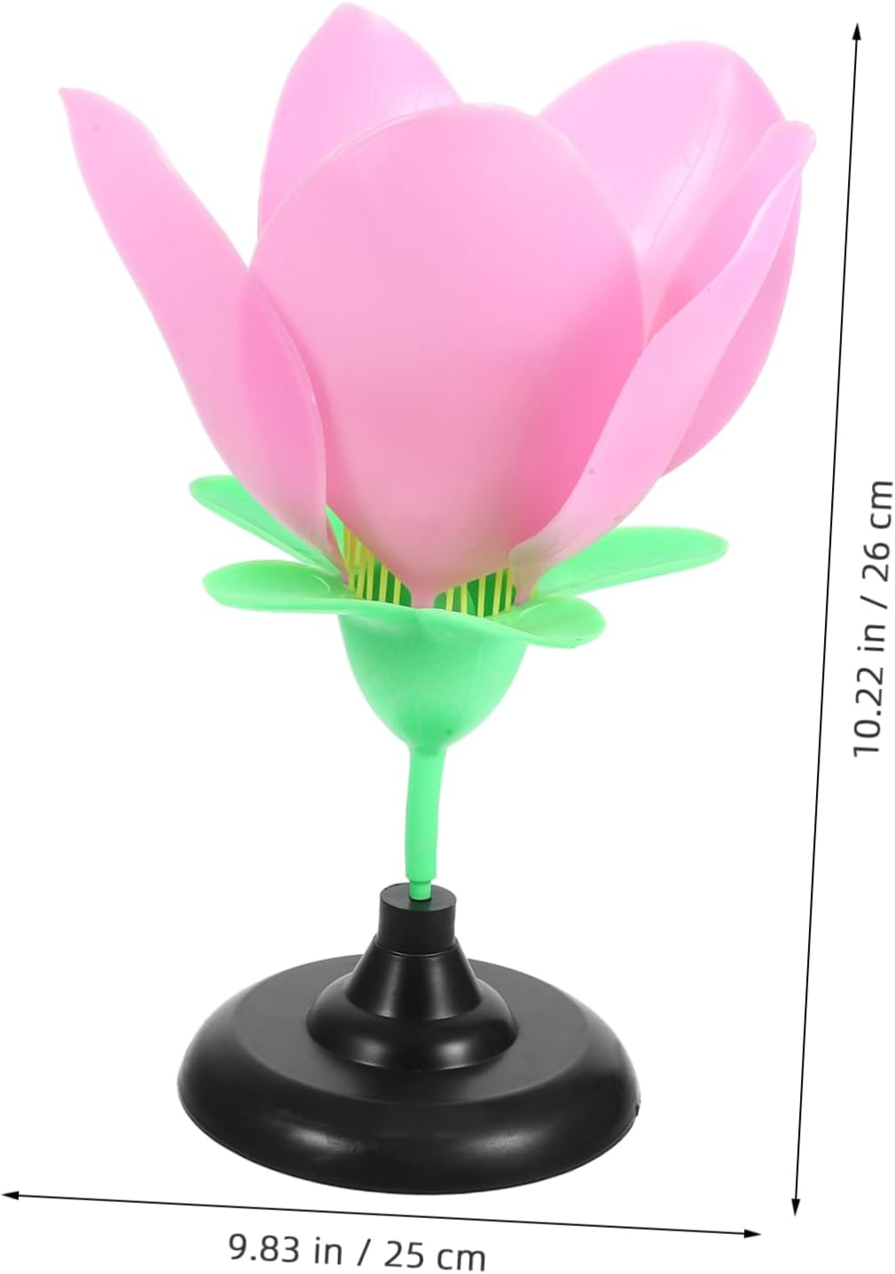 VILLFUL Floral Plant Model Flower Model Biology Teaching Aid Lightweight Blossom Toy for Boys and Girls