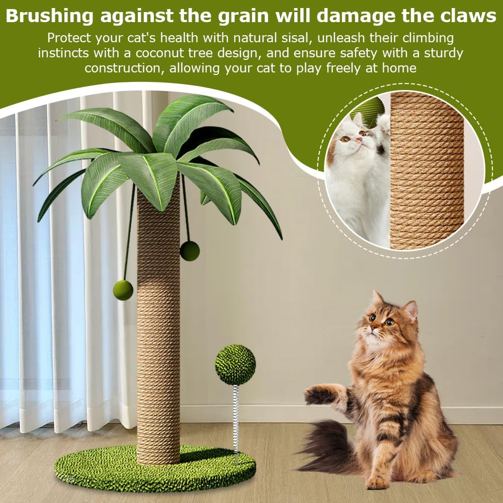 Coconut Tree Cat Scratching Post, Sisal Rope Pussy Pillar, Interactive Mog Tree, Stable Wide Base & Fun Hanging Balls, for All Cats（41X41X63Cm） image number 3