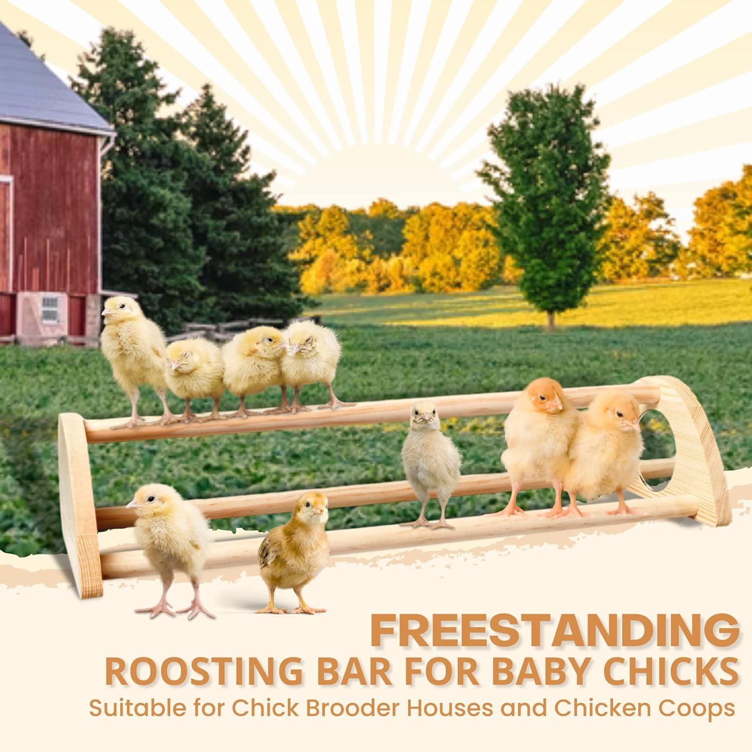 Tongass 16" Extra Long Chicken Perch - Freestanding Roosting Bar for Baby Chicks with Built-In Mirrors for Entertainment - Durable Polished Bamboo Roosting Bar - 15 3/4 X 6 5/8 X 3 1/2" image number 5