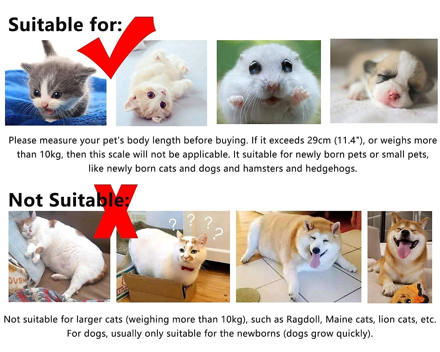 Digital Pet Scale, Multi-Function LED Scale Digital Weight with Height Tray Measure Accurately, Perfect for Puppy/К Itty/Hamster/Hedgehog/Food, Capacity up to 22 Lb, Length 11Inch image number 3