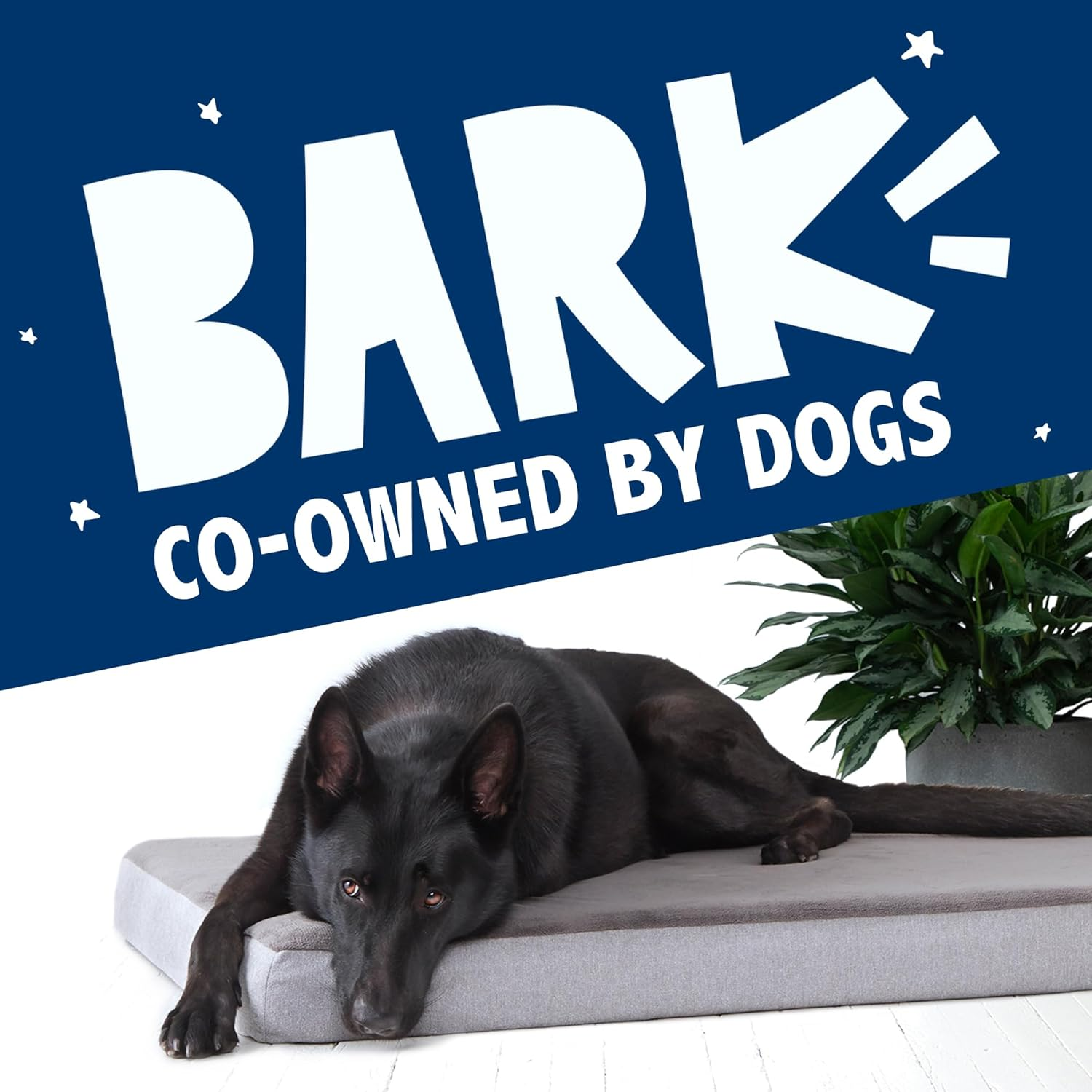 Barkbox Memory Foam Platform Dog Bed | Plush Mattress for Orthopedic Joint Relief (Large, Grey) image number 2