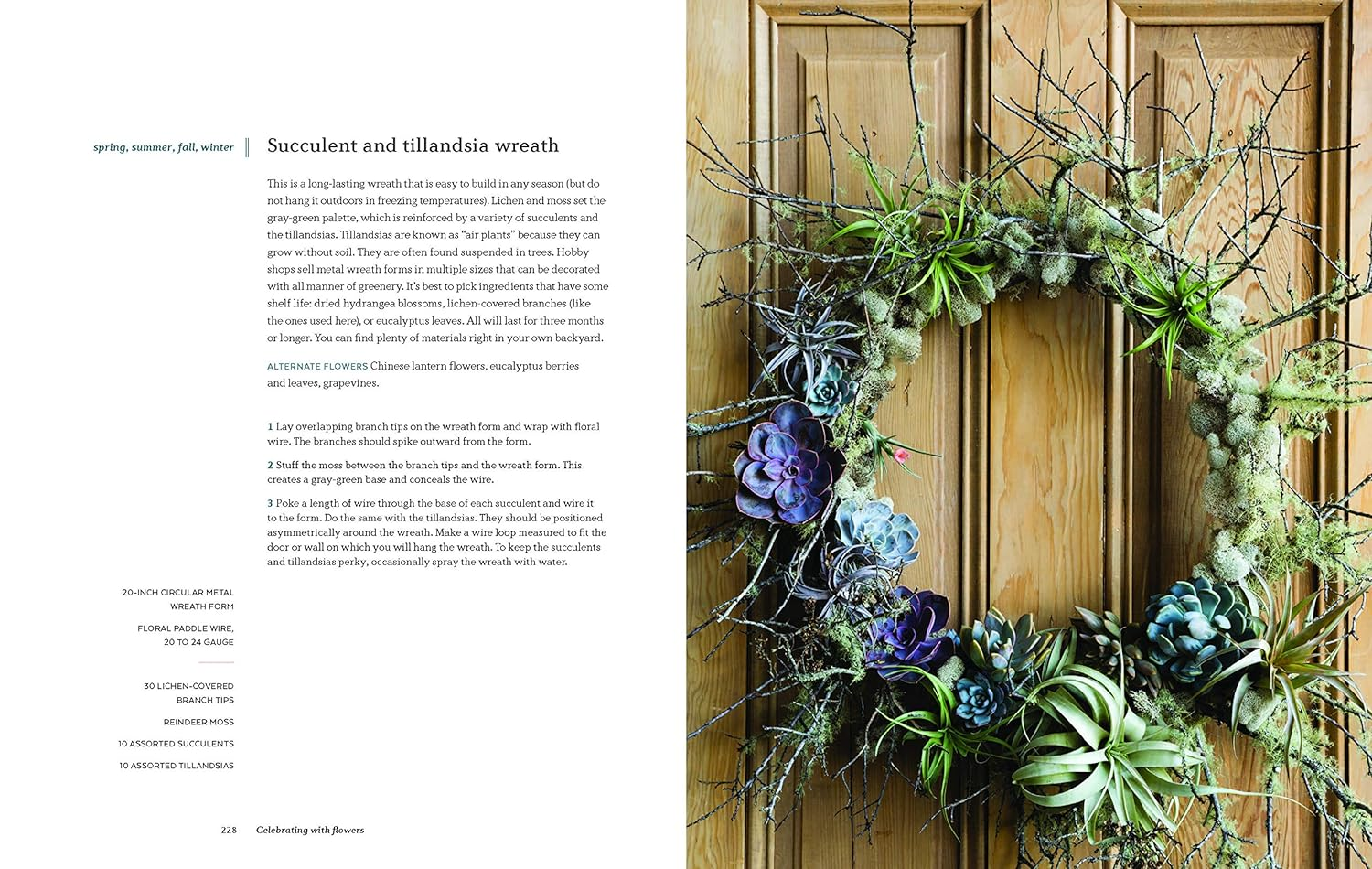 The Flower Workshop: Lessons in Arranging Blooms, Branches, Fruits, and Foraged Materials image number 5