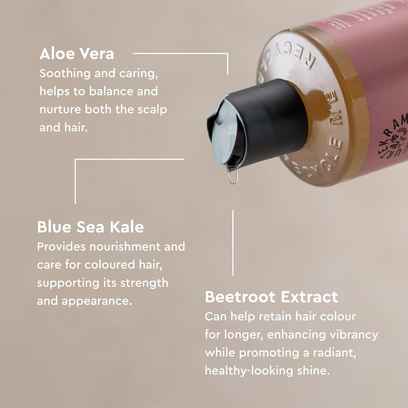 Urtekram - for Coloured Hair - Soft Wild Rose - 500 Ml, Vegan, Organic, Natural Origin image number 2