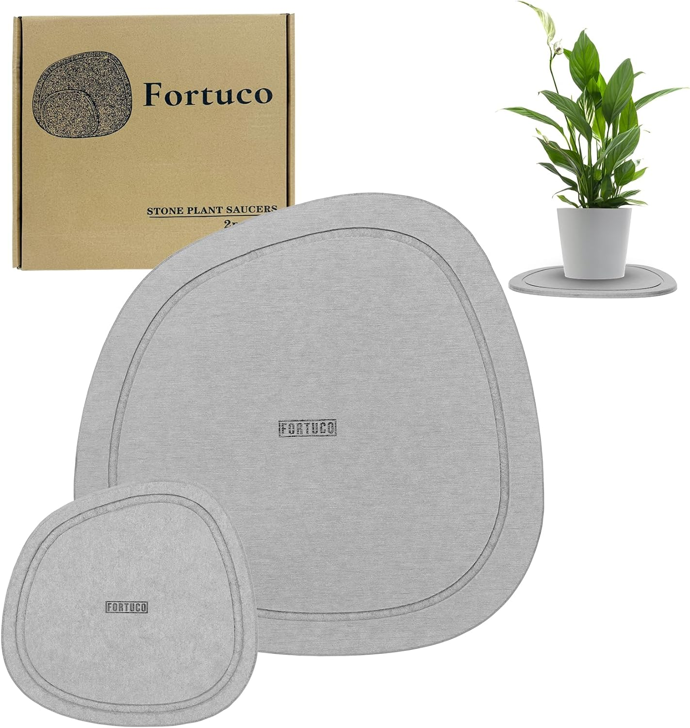Stone Plant Saucers | Premium Diatomite | Water-Absorbent Planter Trays for Indoor Plants | Flower Pot Saucers | Plant Pot Plate & Drip Tray for Drainage | 2 Pack | Ash image number 5