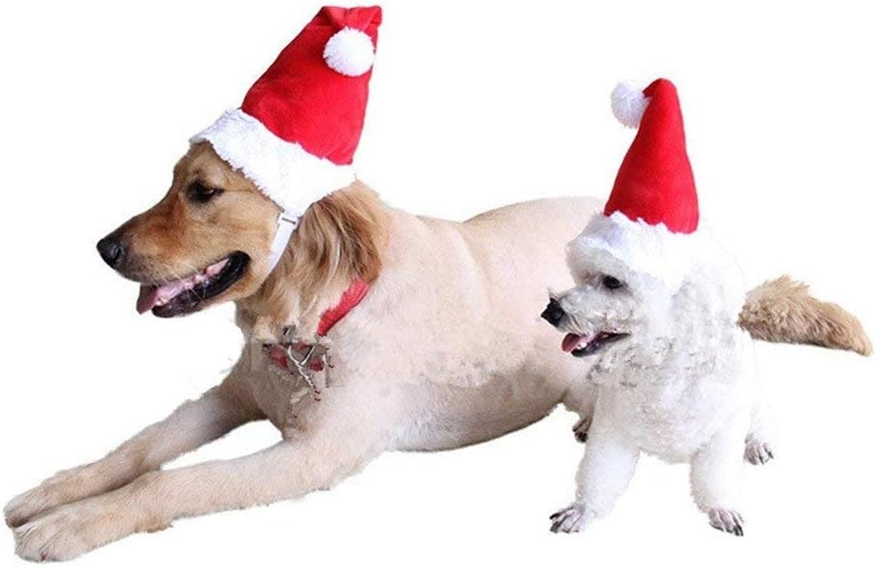 BT Bear&reg; Pet Christmas Costume,Dog Christmas Hat Pet Cat Christmas Santa Hat for Cats Puppy Small Dogs Medium Dogs Large Dogs (Large)