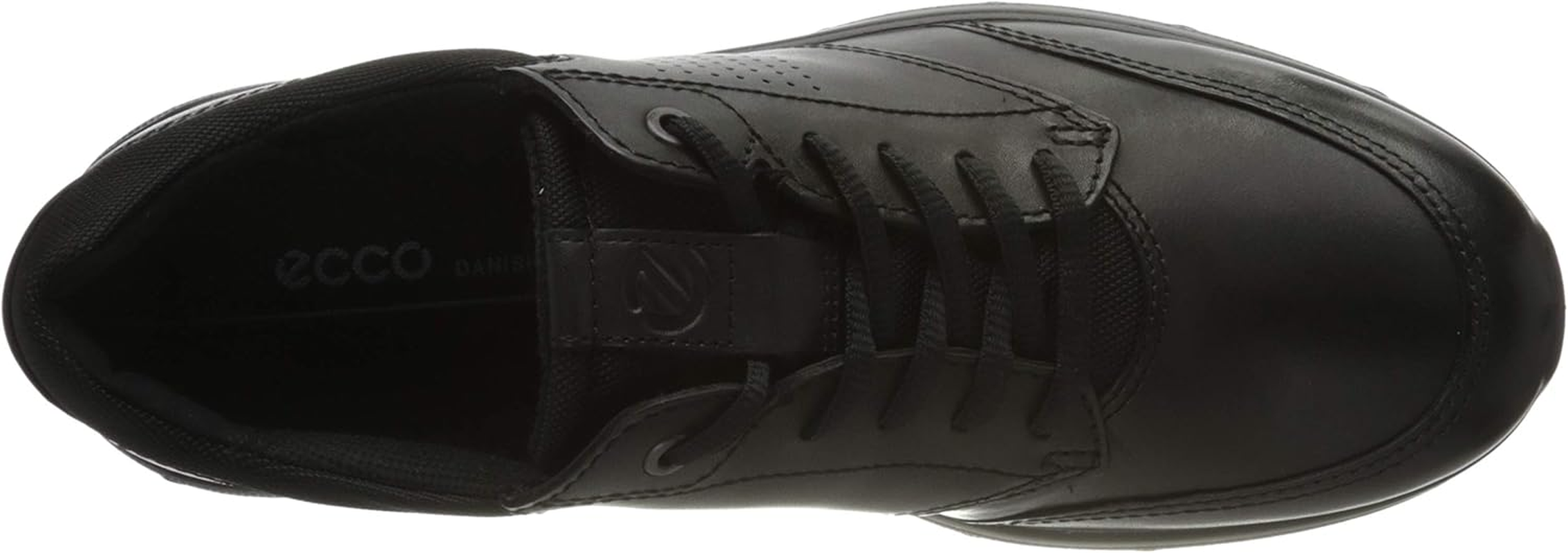 ECCO ECCO image number 3