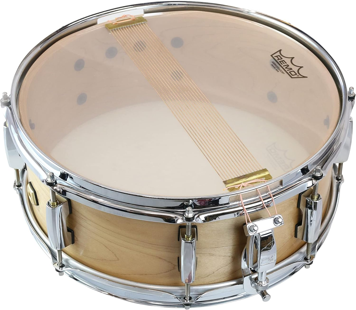 Remo Ambassador Hazy Snare Side Drumhead, 14" image number 1