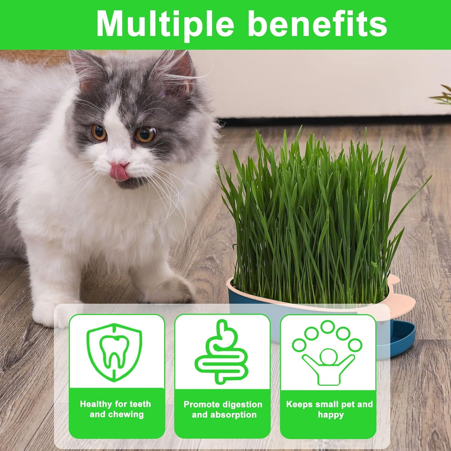 HOMURY Fish Shape Cat Grass Tray Growth Set: 2 Pieces Plastic Comfortable Cat Grass Case, Hydroponic Cat Grass Box with 10 Bags Seed, Cat Grass Germination Tray for Cats Pets image number 6