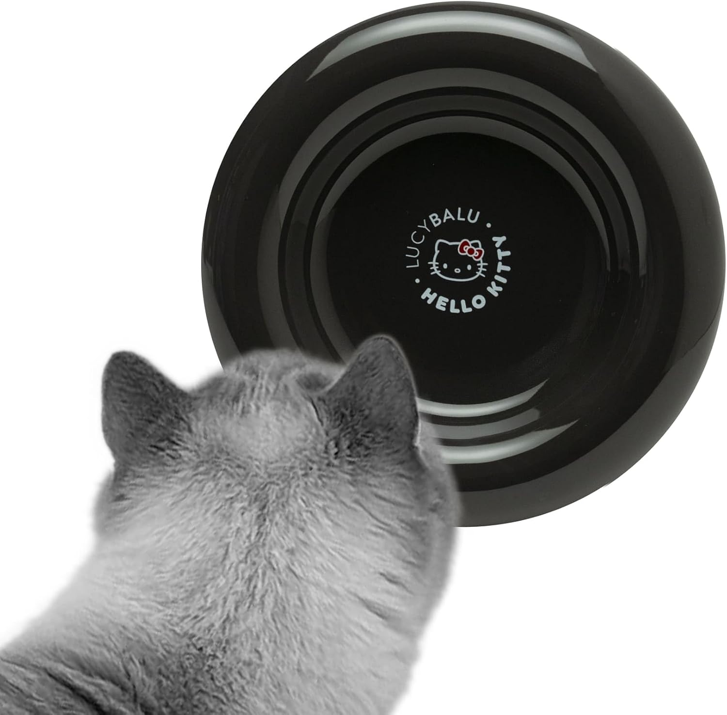 Lucybalu Hello Kitty Drop Porcelain Cat Bowl - Whisker Friendly, Raised Cat Feeding Bowl & Water Bowl - 17Cm X 20Cm X 3Cm - Black image number 3