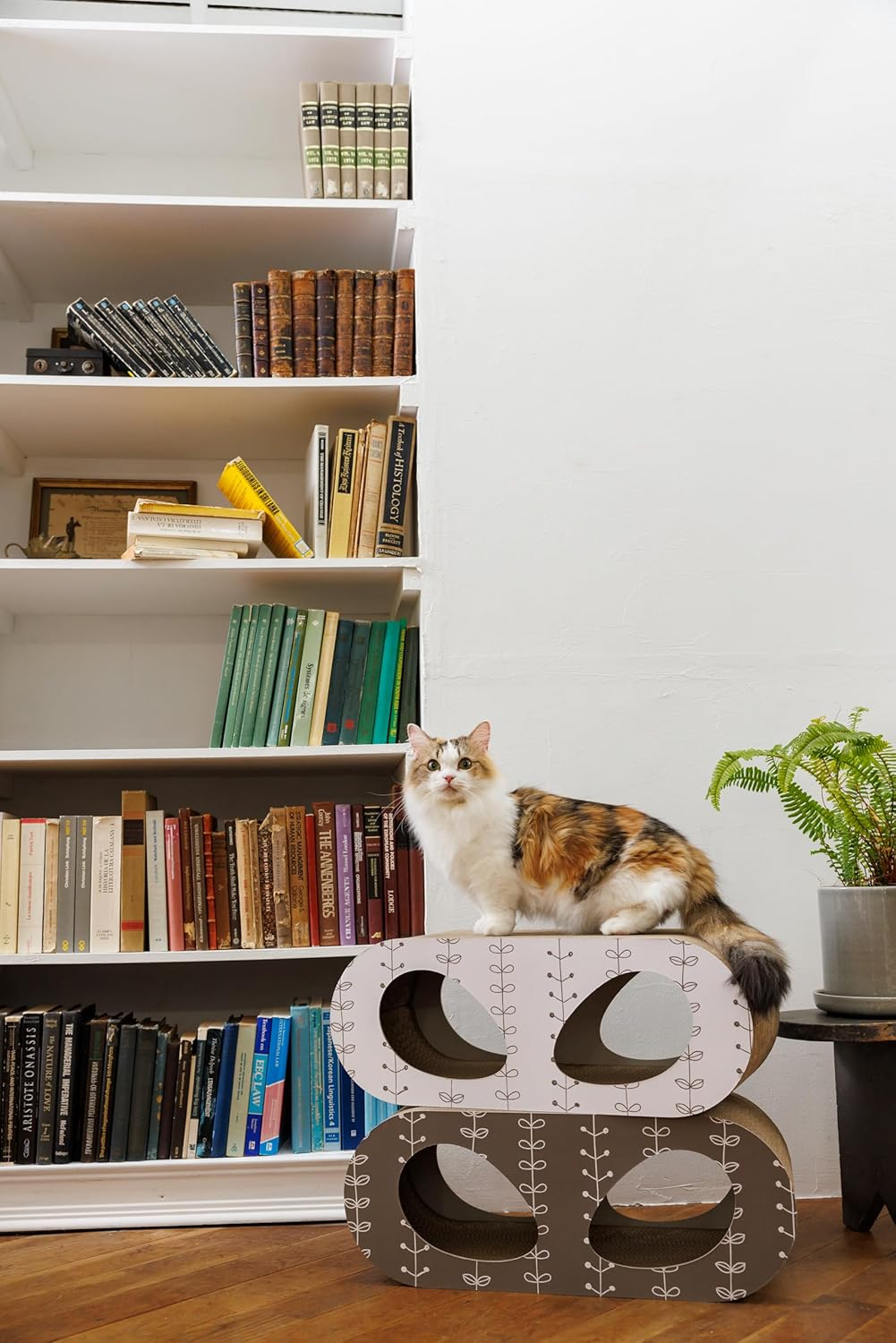 FAD PTFAP00221 Cat Scratcher Harappa Shiro image number 2