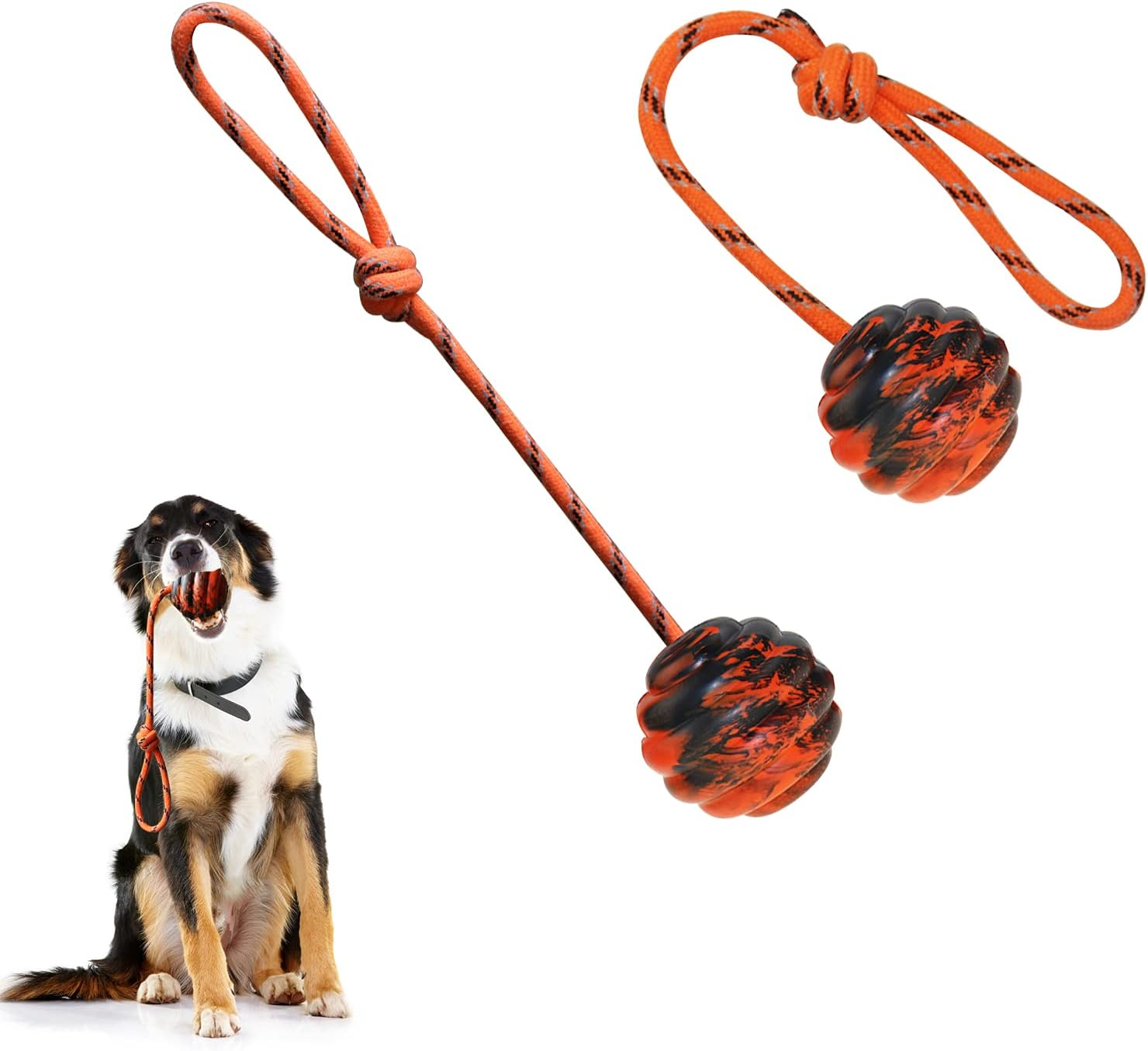 2Pcs Dog Training Ball on Rope Dog Rope Toys Ball Exercise and Reward Toy for Dogs for Chew Training Pull Throw Toy Tug Toy Dogs Fetch Toys Belgian Malinois Gifts image number 1