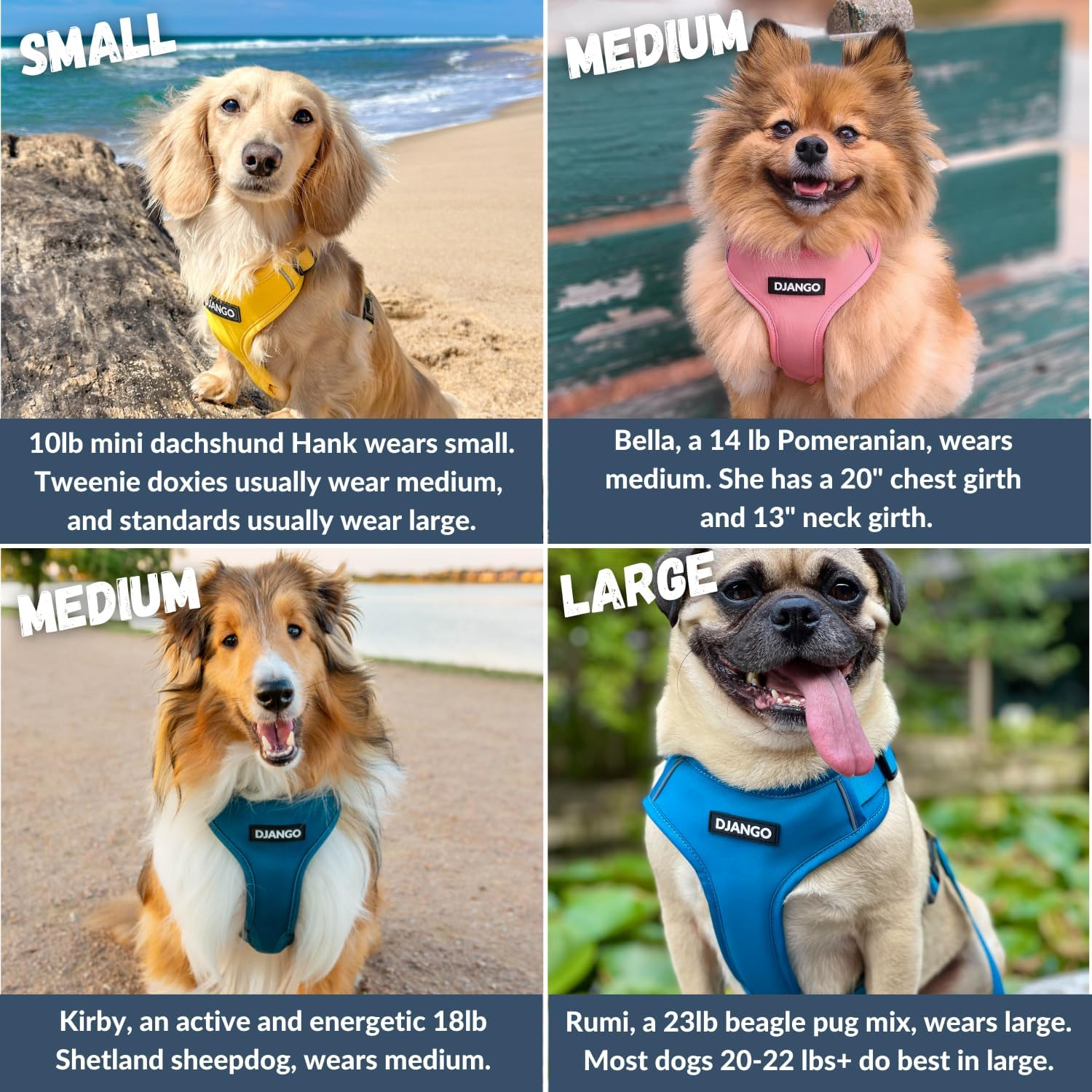 DJANGO Adventure Dog Harness - Stylish and Durable Medium Dog Harness for Outdoor Adventures and Everyday Wear - Forest Green Neoprene Adjustable Harness for Dogs with Reflective Piping, Brass D-Ring image number 6