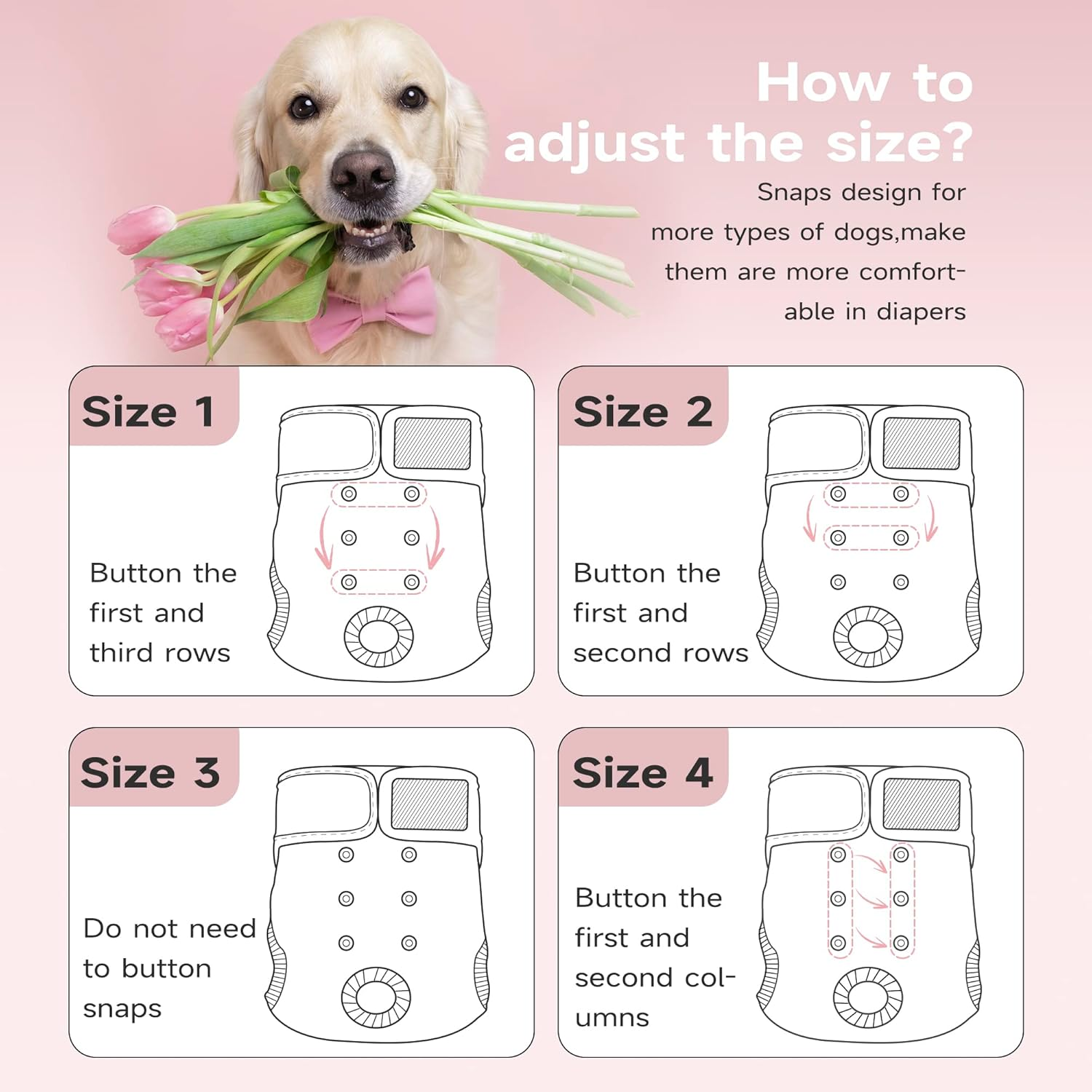 Paw Legend Reusable Female Dog Diapers(3 Pack,X-Small) image number 6