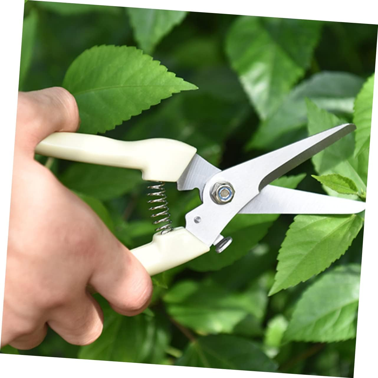 SUPVOX Garden Pruner Shears Stainless Steel One-Handed Pruning Shears Comfortable Grip for Gardening image number 6