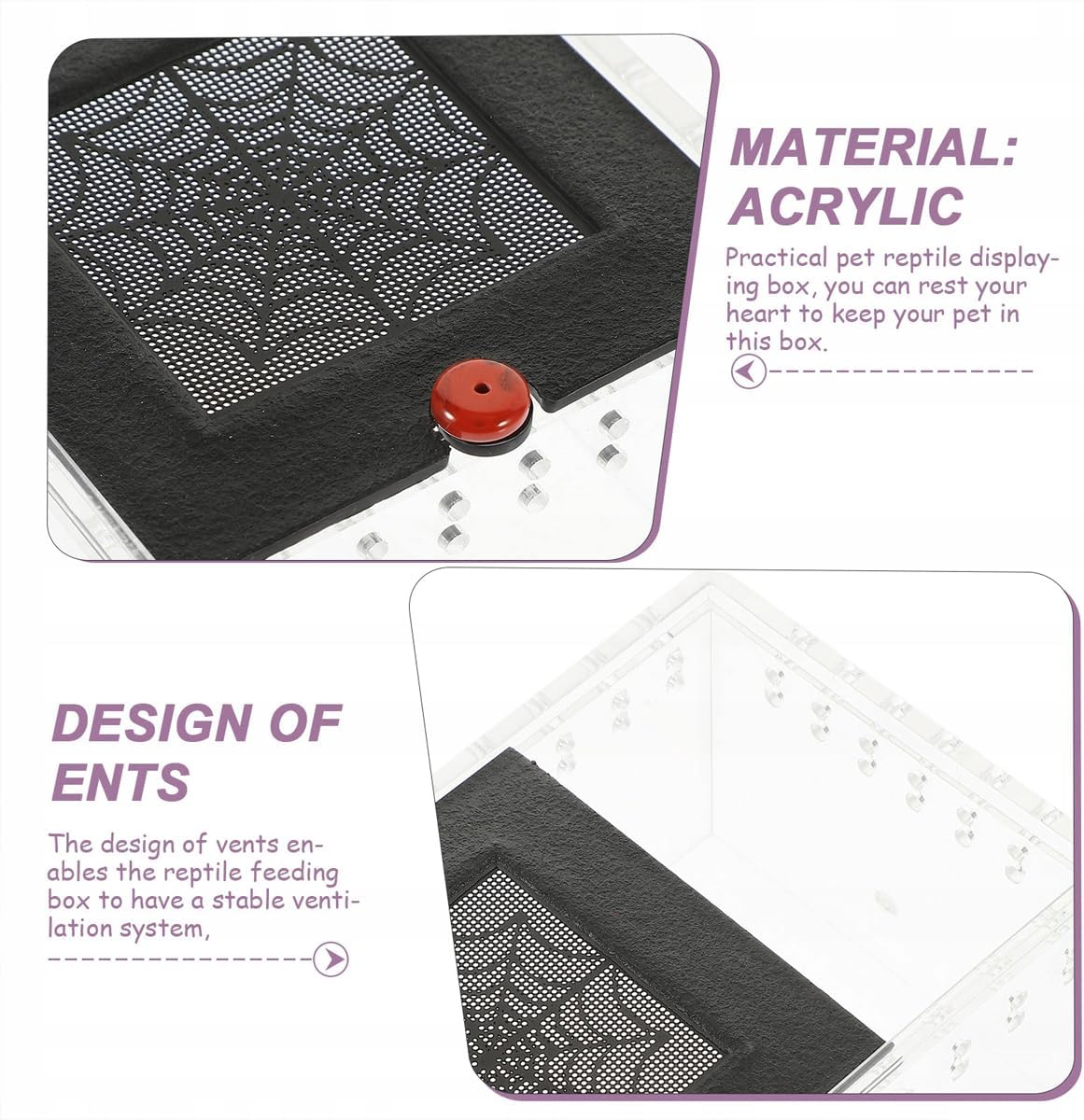 AIMALL Acrylic Reptile Climbing Pet Enclosure, Transparent Spider and Lizard Breeding Terrarium, Lightweight and Durable Design