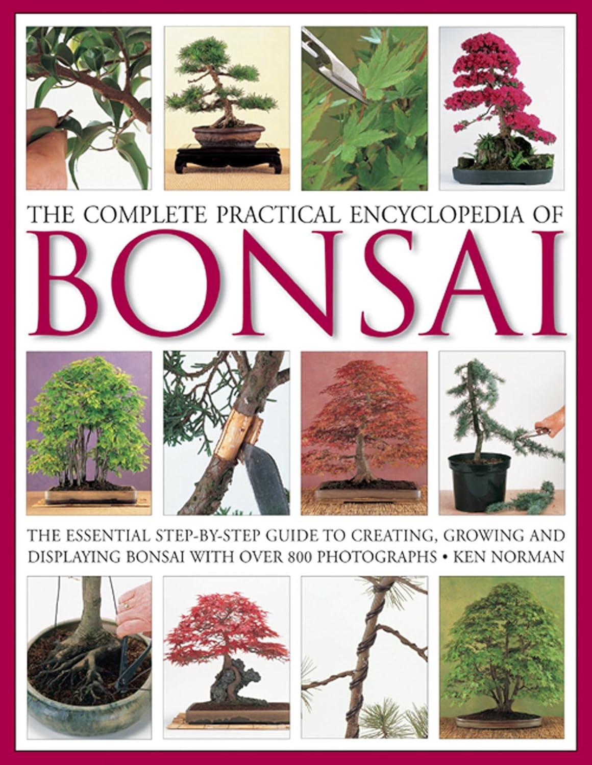 The Complete Practical Encyclopedia of Bonsai by Ken Norman; Photographer-Neil Sutherland (2005-08-01)