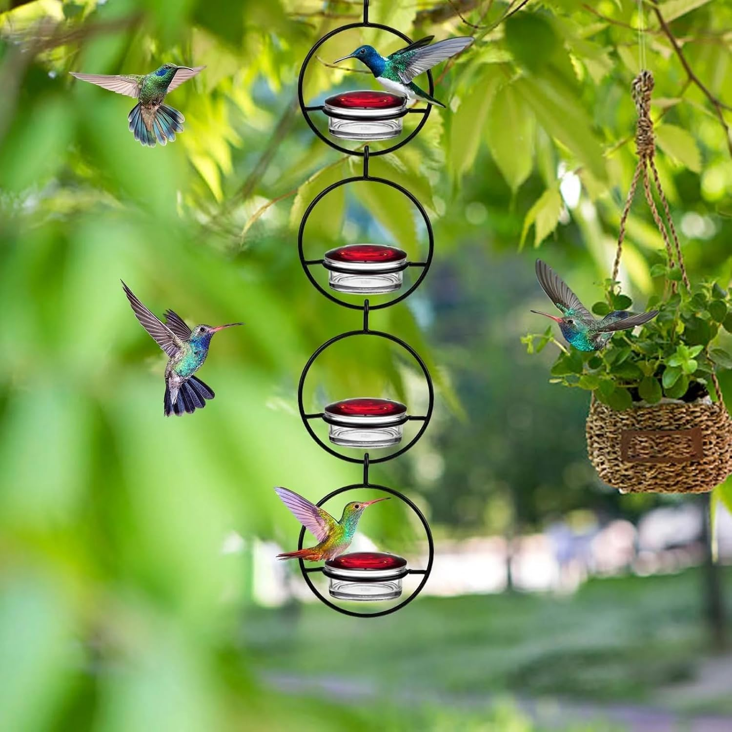 Hummingbird Feeder, 4PCS Circular Hanging Ant & Bee-Proof Hummingbird Feeders for Outdoor Garden, Patio, Backyard - Leak-Proof, Easy to Clean and Refill image number 1