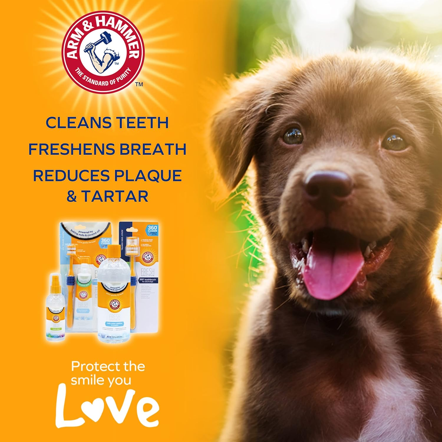 ARM & HAMMER Fresh Spectrum Coconut Mint Dog Dental Spray, 118Ml, Best Dental Care for Dogs, Removes Plaque & Tartar, Freshens Breath, Gum & Teeth Cleaning, No Brushing, Easy to Use Pet Oral Hygiene image number 4