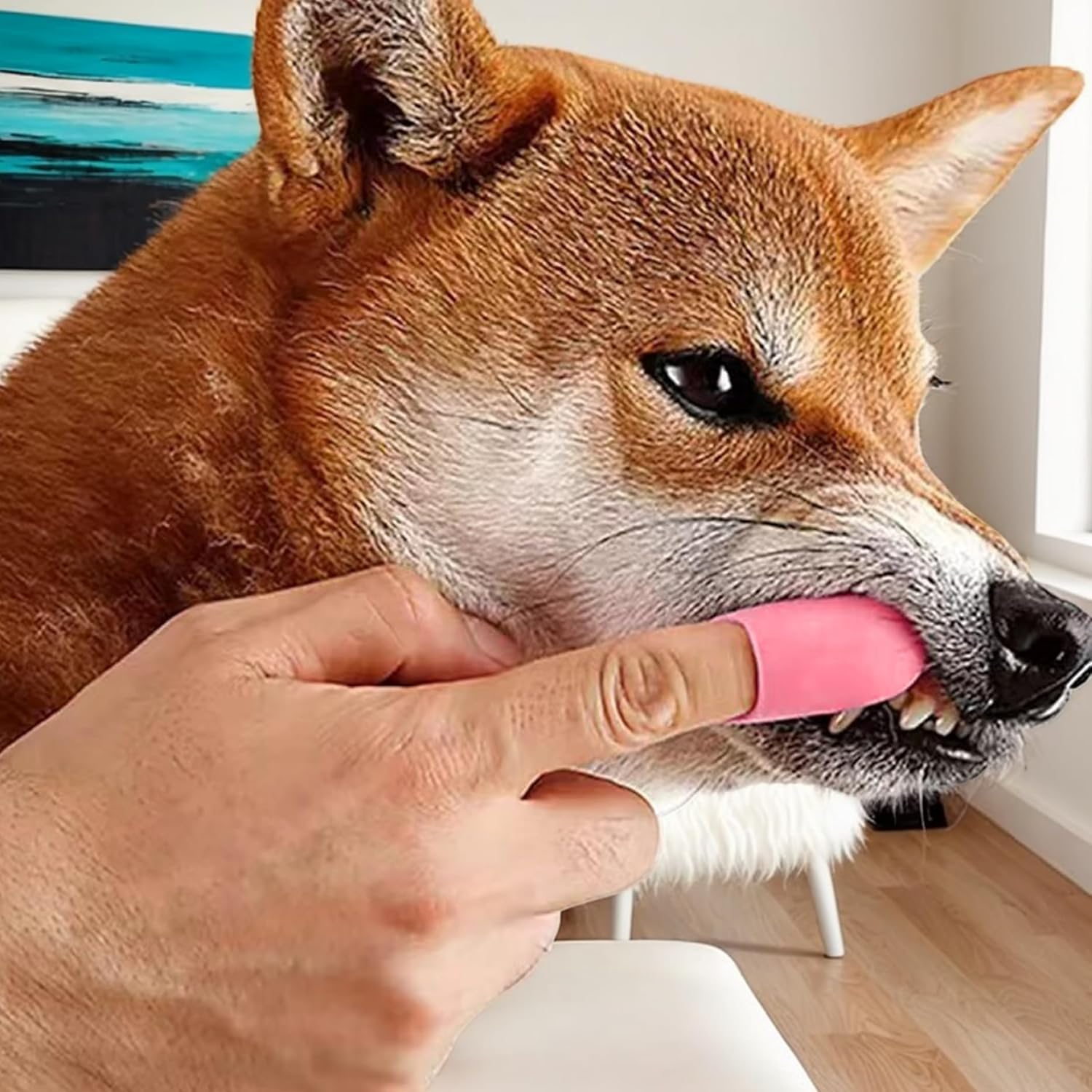 Cat Chin Brush Cat Finger Brush, 4Pcs Silicone Cat Chin Clean Brushes,Silicone Cat Chin Brush Scrubber,Cat Chin Brush Silicone Scrubber Cat Chin Cleaner,Soft Silicone Chin Cleaner Scrubber for Cats image number 4