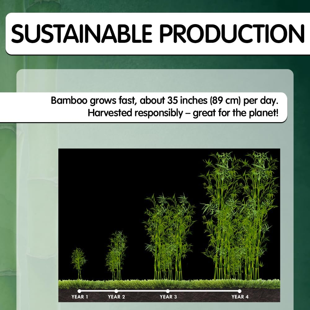 300 Pcs Bamboo Skewers, Wide Flat Paddle Wood Skewer - Teppo Picks for Parties, Appetizers, Marshmallows, Fruits, Grilling Barbecue (BBQ) - by Mobi Lock image number 1