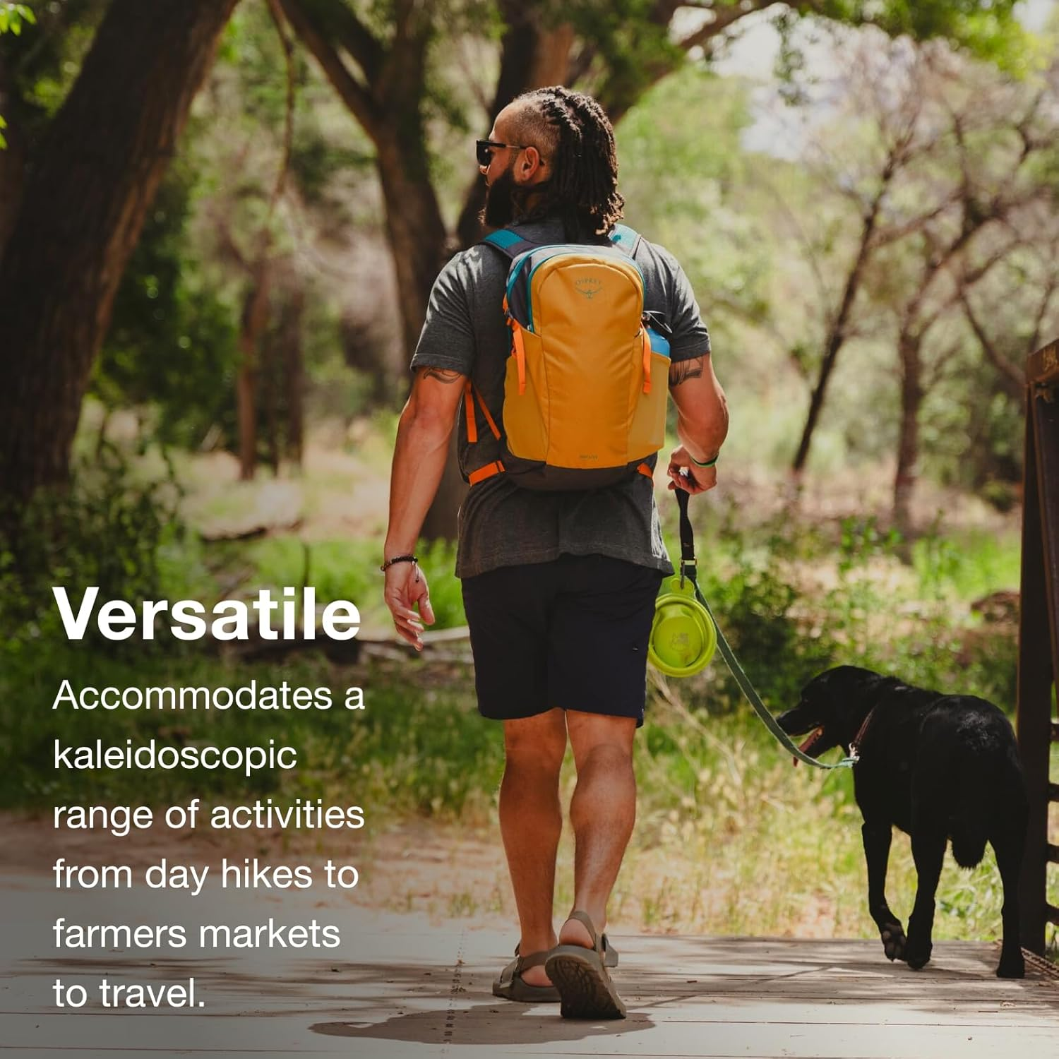 Osprey Osprey image number 5