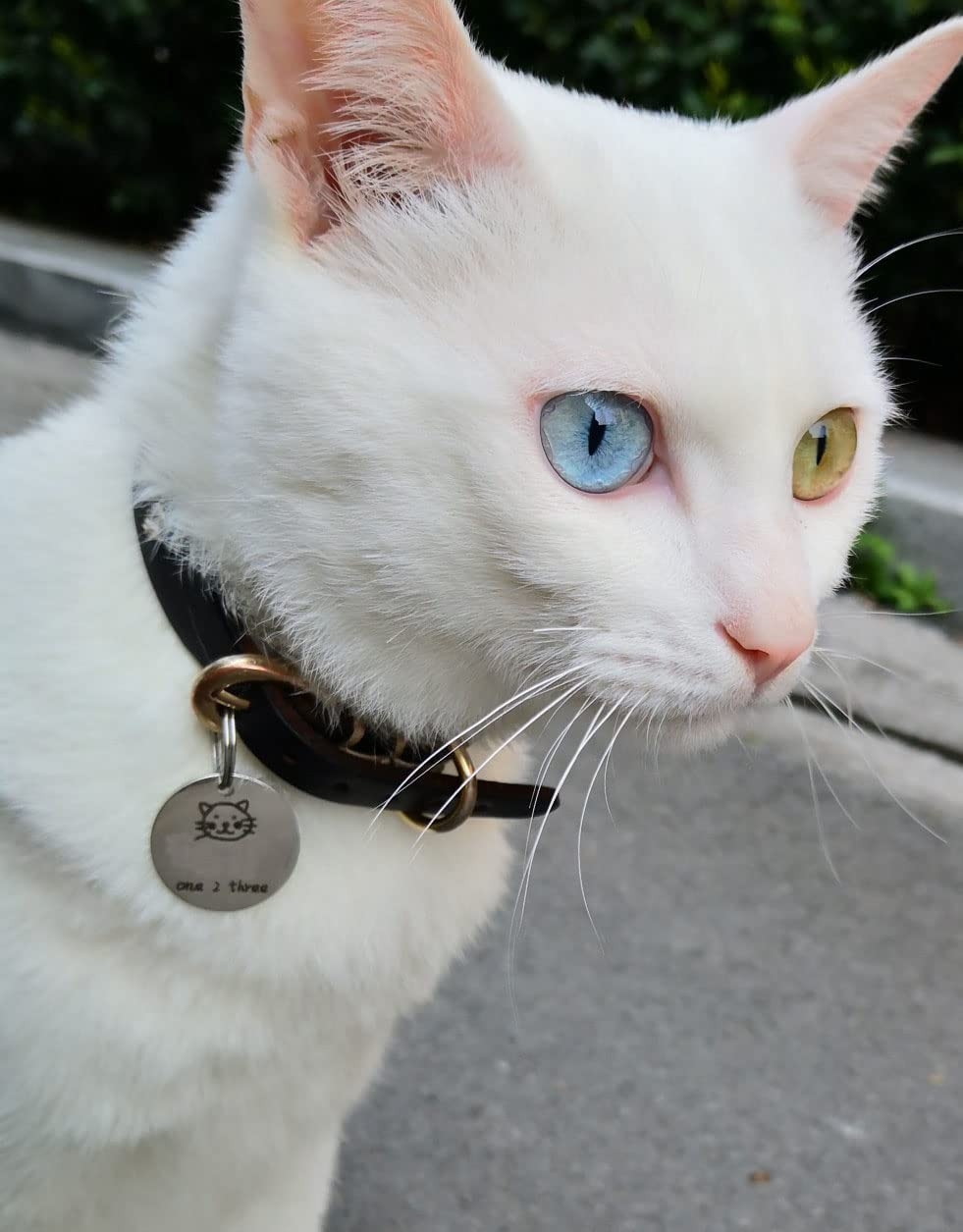 1/2 Inch Split Key Rings,Stainless Steel Dog Tag Ring,Small Key Chain Ring for Craft,Car Keys,Women and Men Car Key Rings - Pack of 50 Pcs image number 1